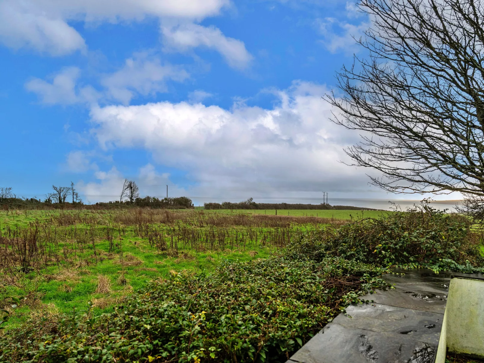 Dingles Cottage-Draußen