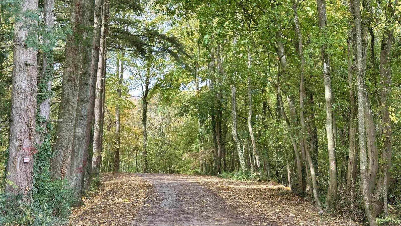 Durbuy Bato-Areas within 1km in summer