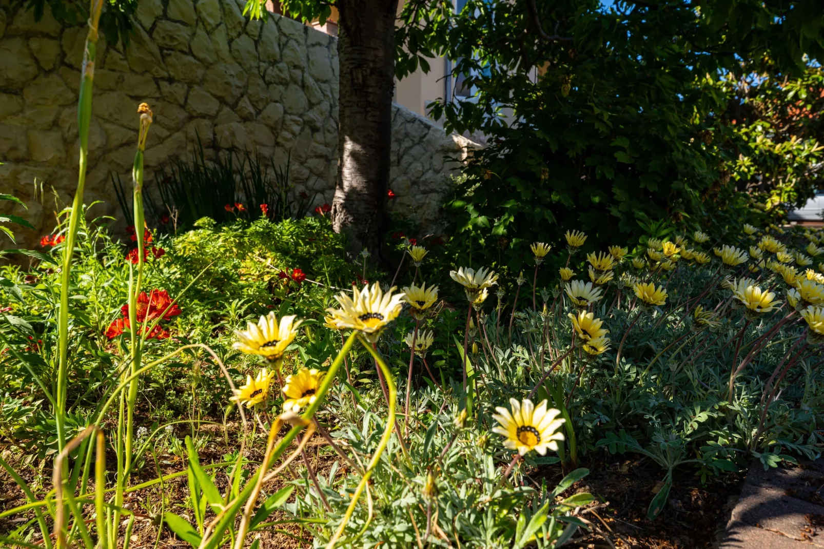 Beach house Privlaka-Garten Sommer