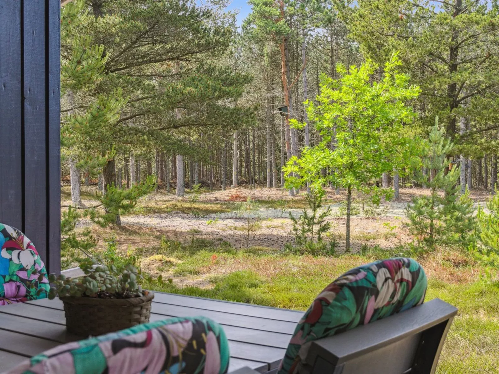 "Andy" - 600m from the sea-Outside