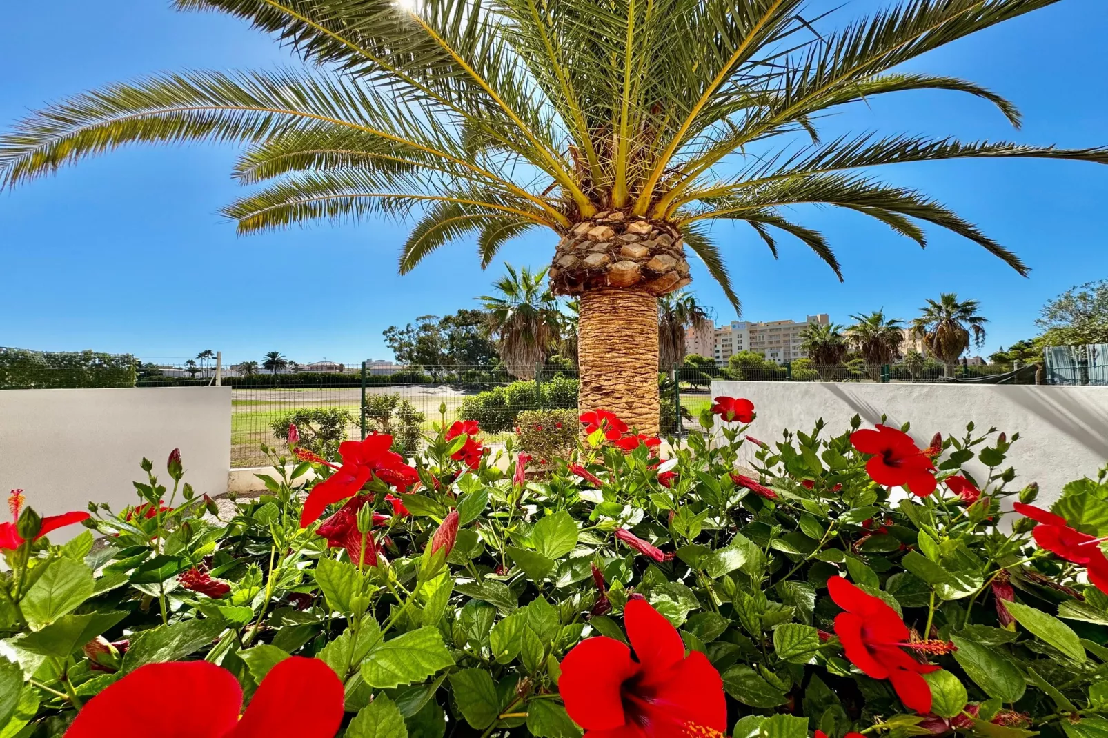 Golf Center Bajo 3-Garten Sommer