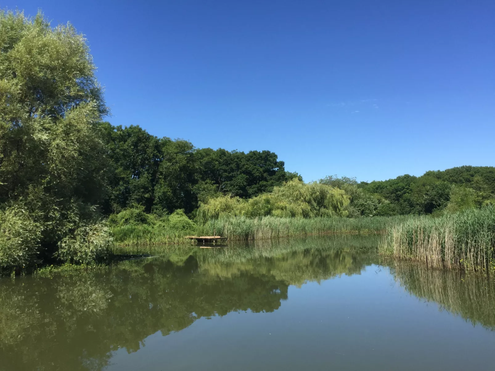 New Park Farm-Outside