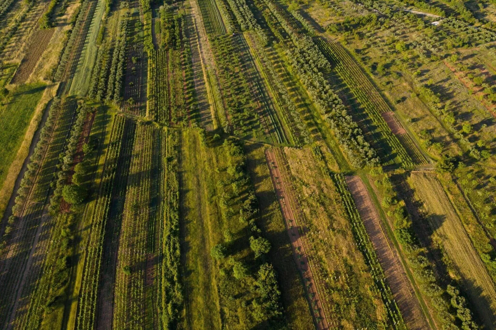 Authentic Villa Storia-Zones été à 20 km