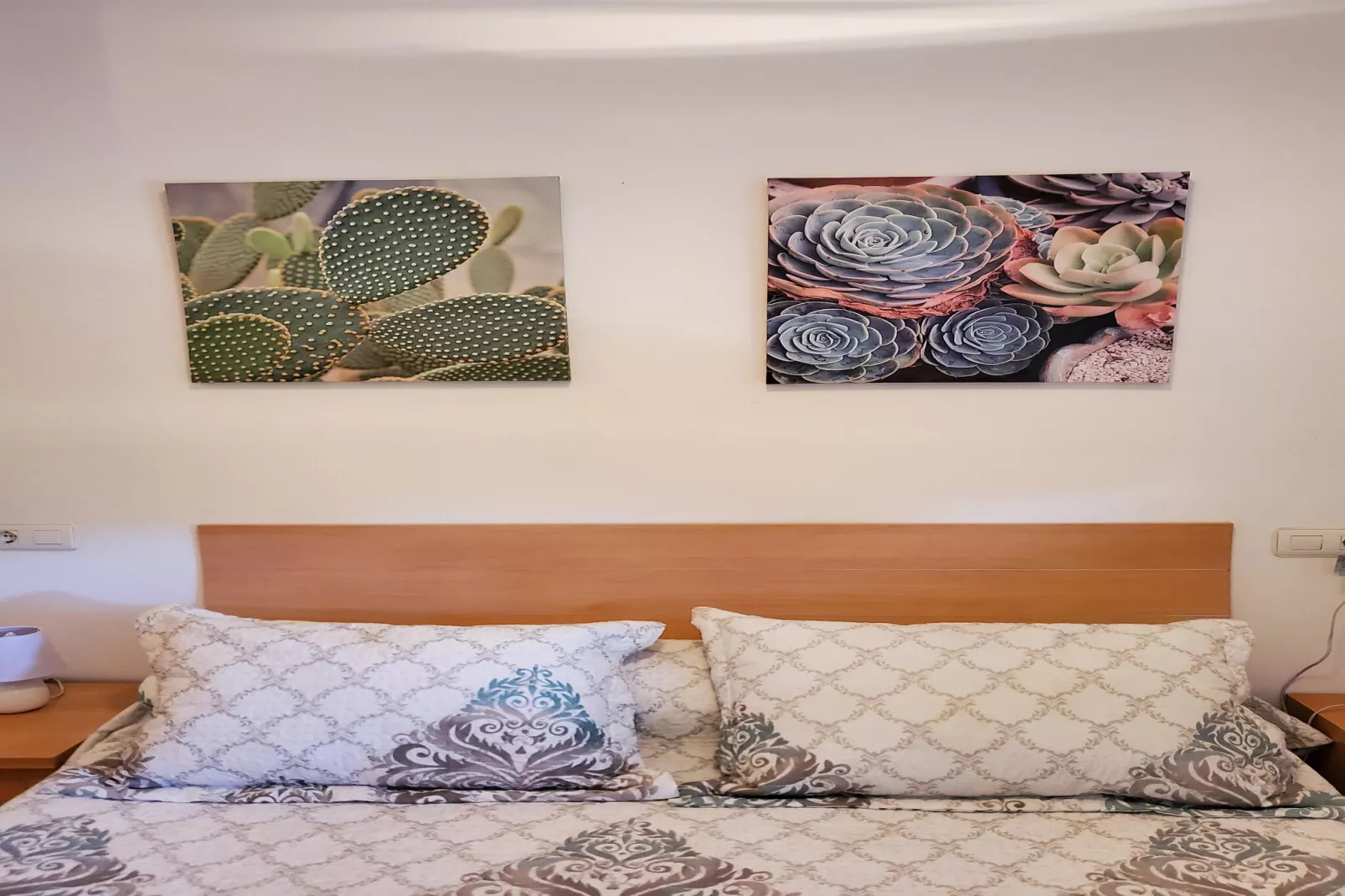 CT 347 AL - Faro's Gardenapartment - Valle del Este-Ambiance