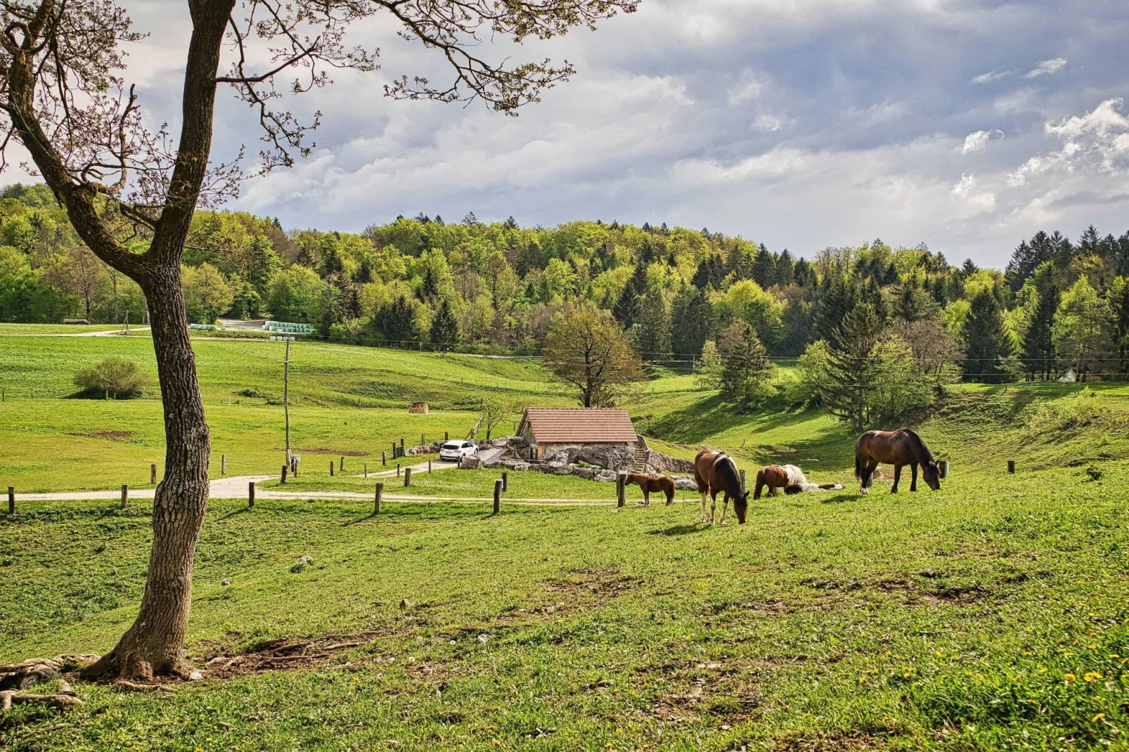 Visnja Gora Meadow Hideaway with Terrace - One Bedroom Cottage with Terrace (owner Hiška na skalci)-Im Freien