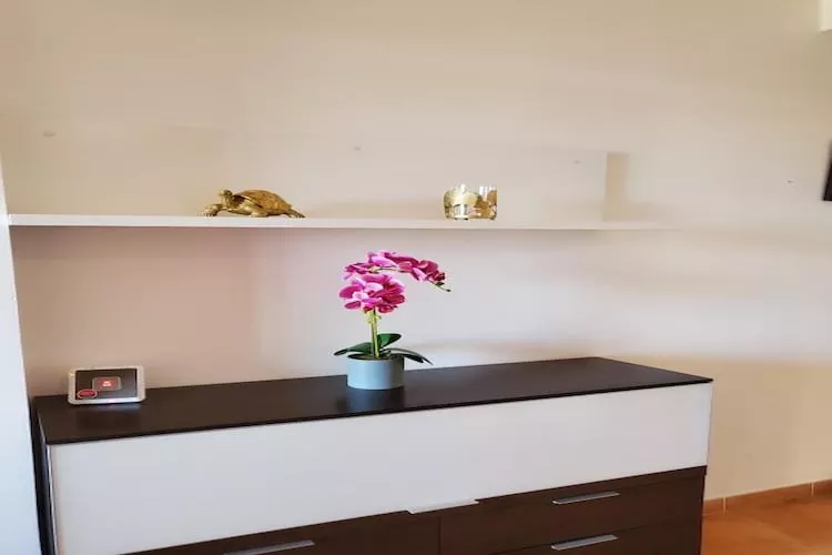 CT 347 AL - Faro's Gardenapartment - Valle del Este-Ambiance