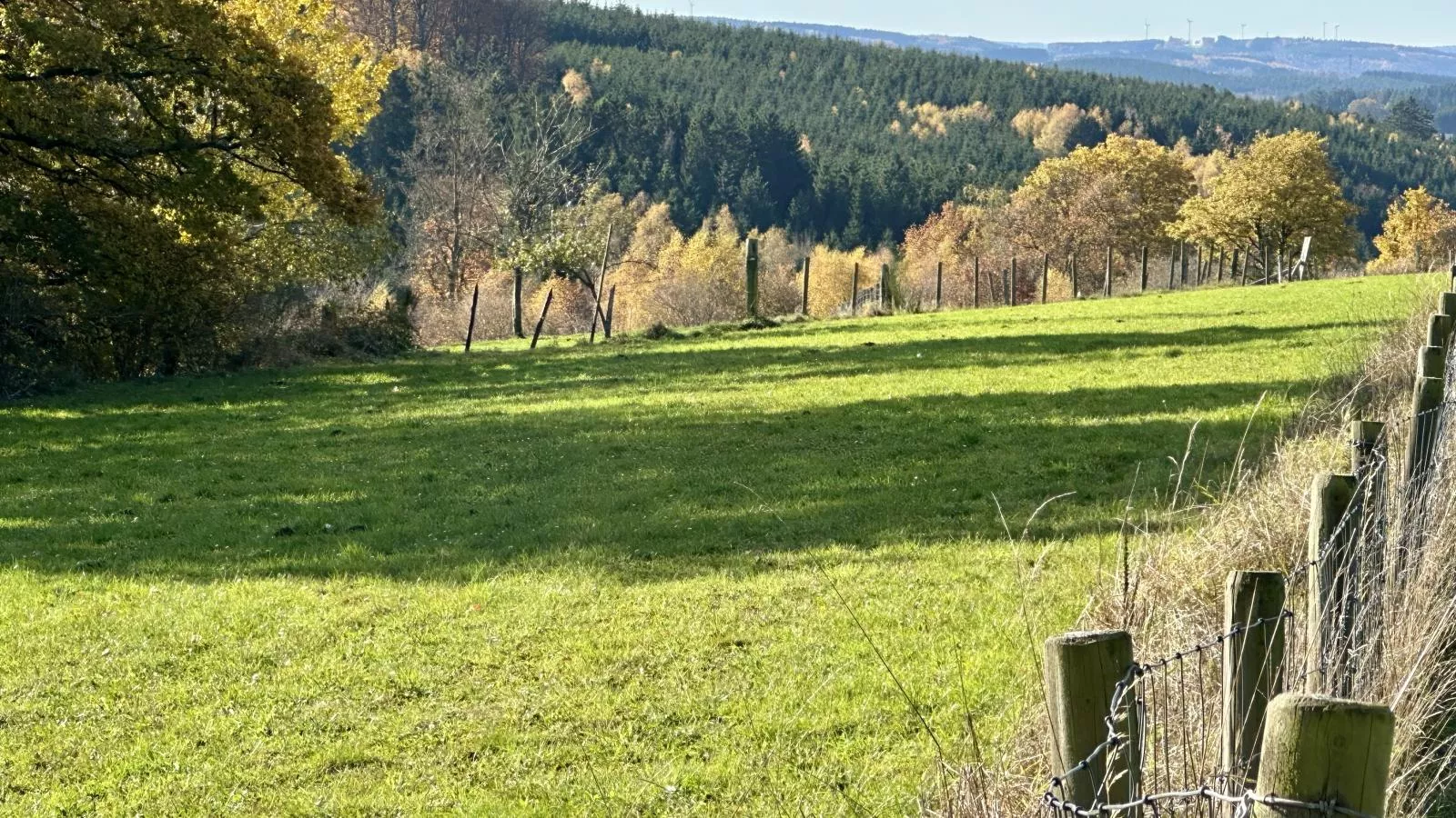 Petit Wilogne-Gebiete Sommer 1 km