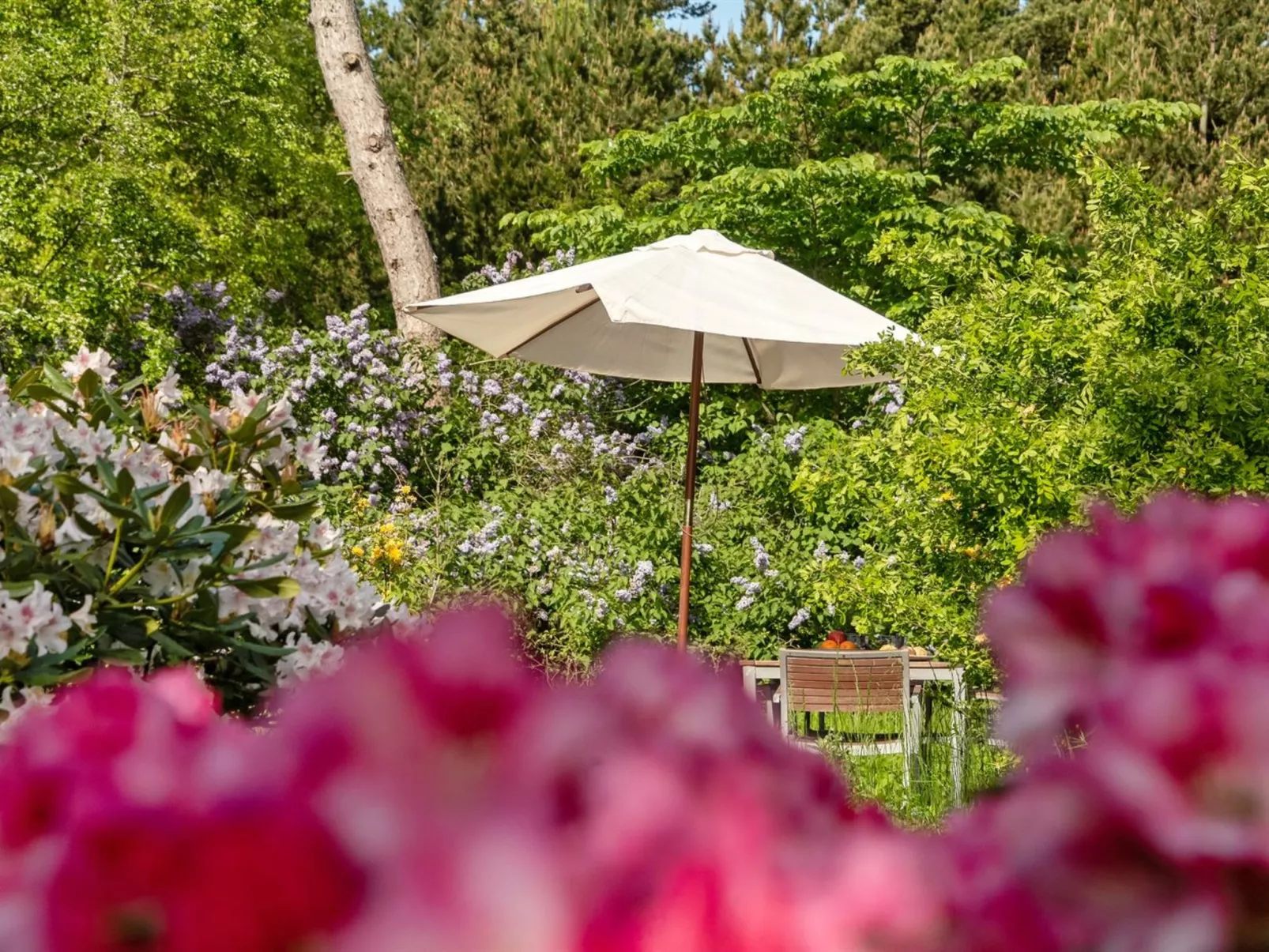 "Iiro" - 2.5km from the sea-Draußen