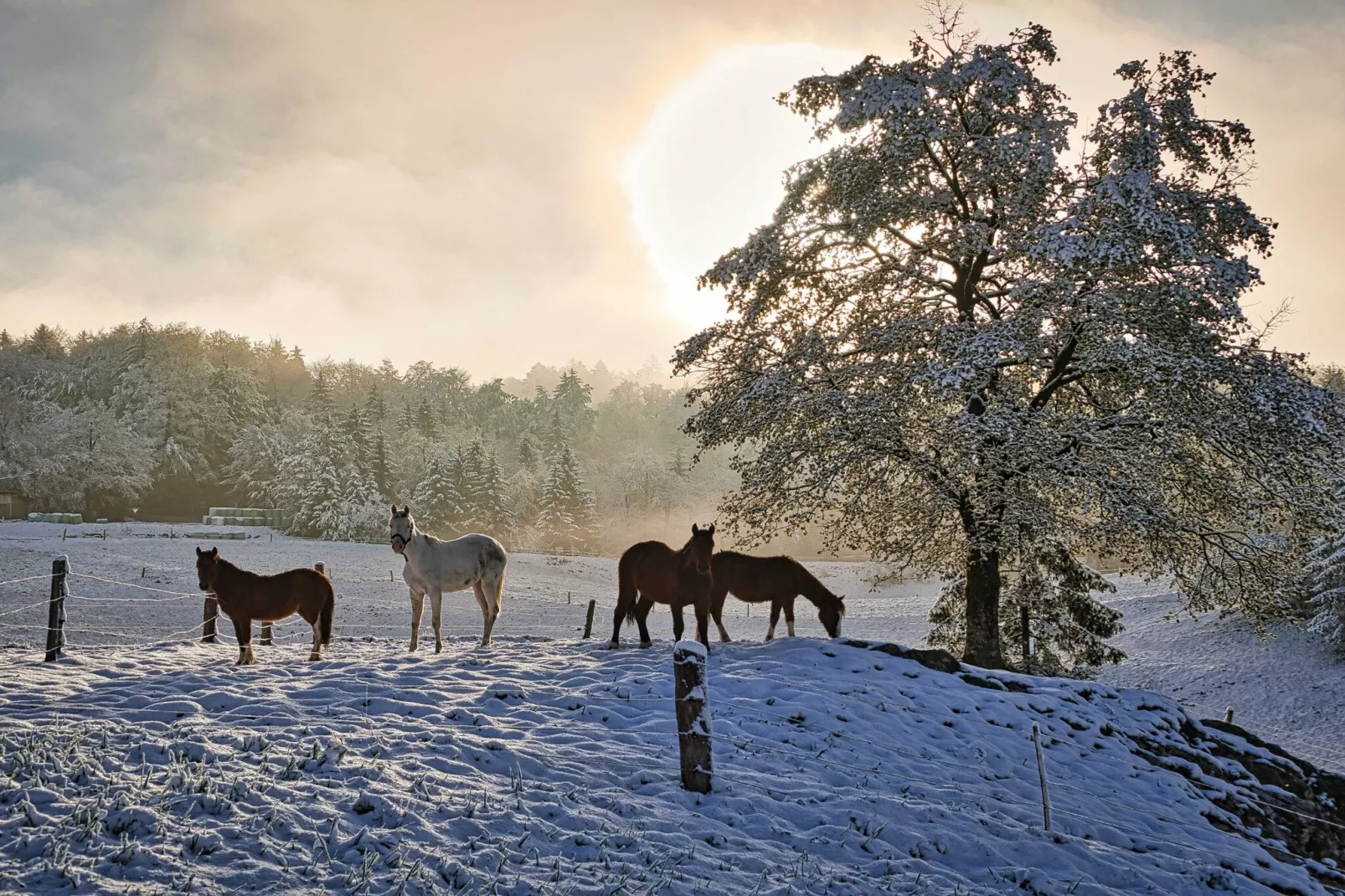 Visnja Gora Meadow Hideaway with Terrace - One Bedroom Cottage with Terrace (owner Hiška na skalci)-Im Freien