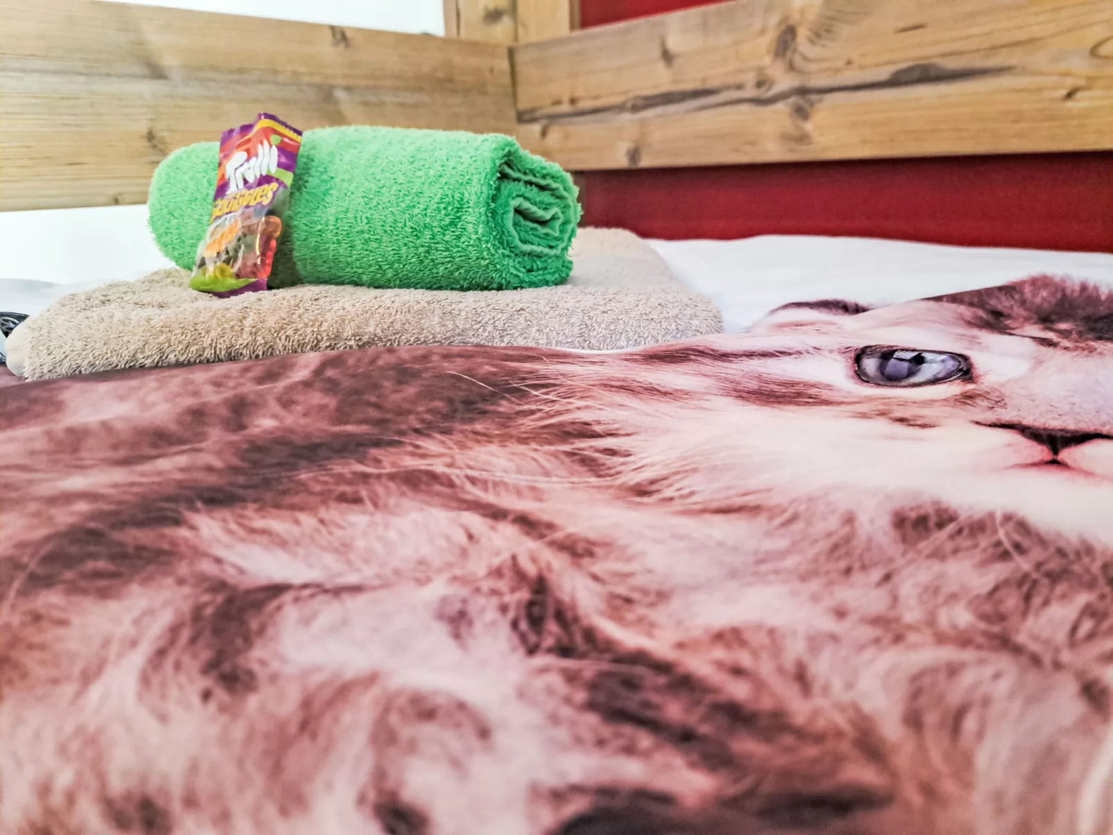 Appartement 2-Drinnen