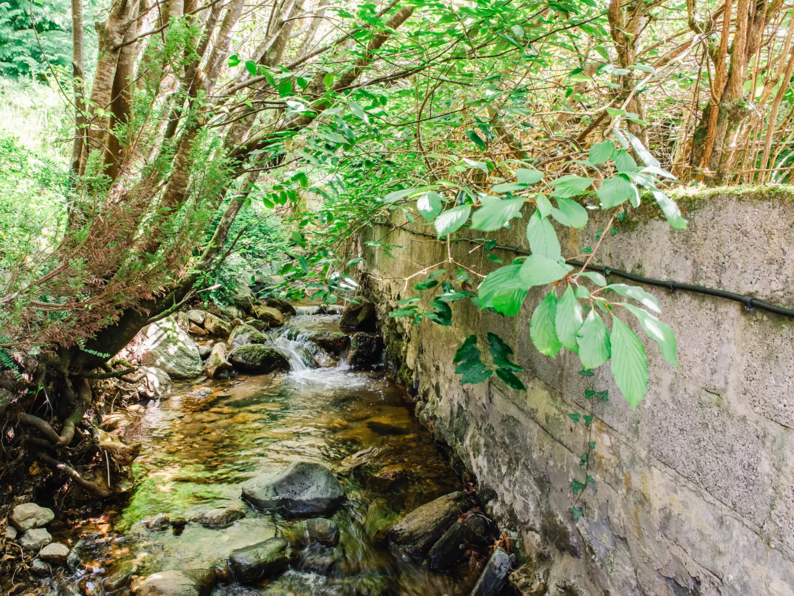 Wayside Bothy-Outside