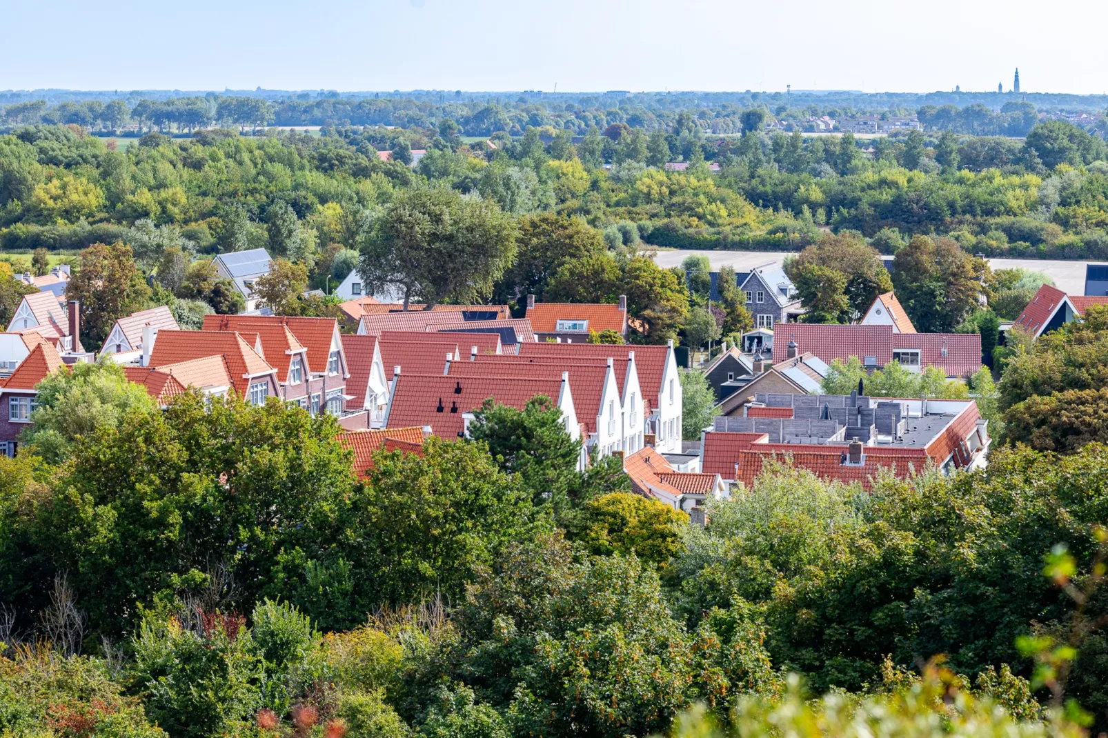 Appartement Duinhof Dishoek 13M - 6 personen de luxe-Untagged