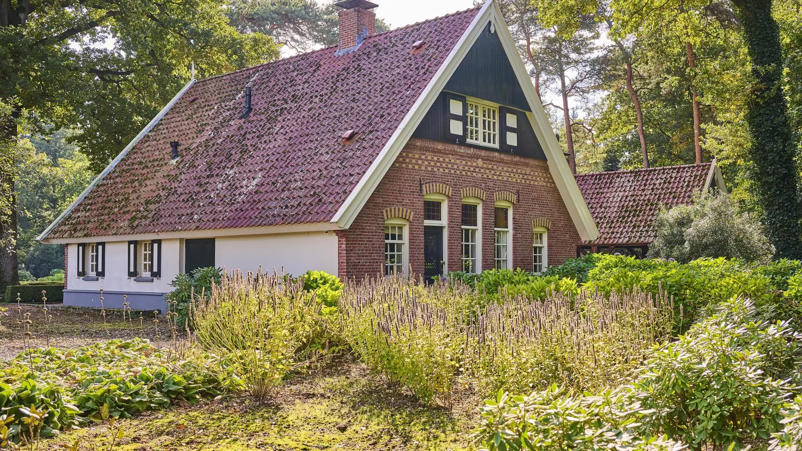 Erve Het Klaashuis-Exterior in summer