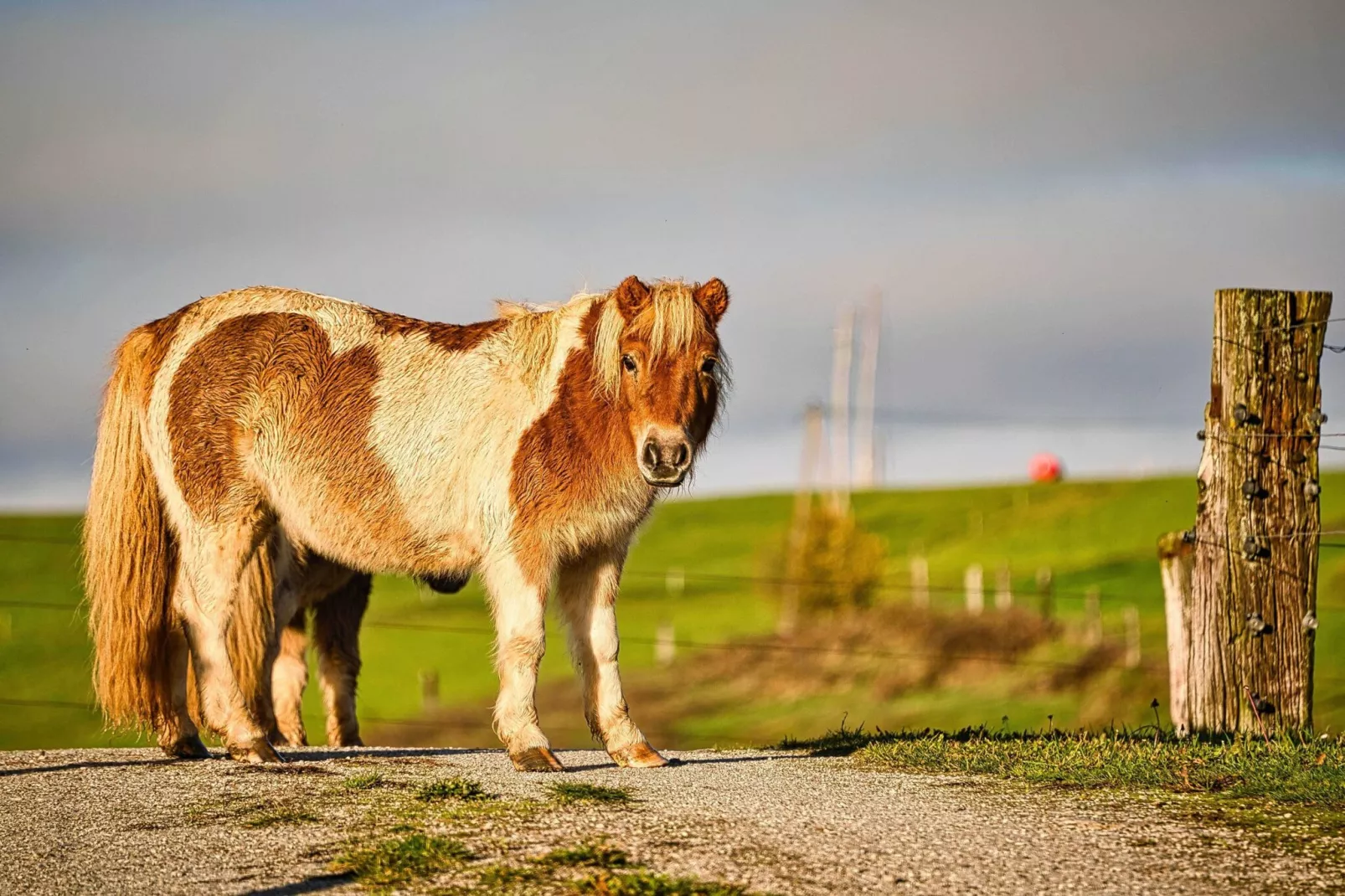 Visnja Gora Meadow Hideaway with Terrace - One Bedroom Cottage with Terrace (owner Hiška na skalci)-Im Freien