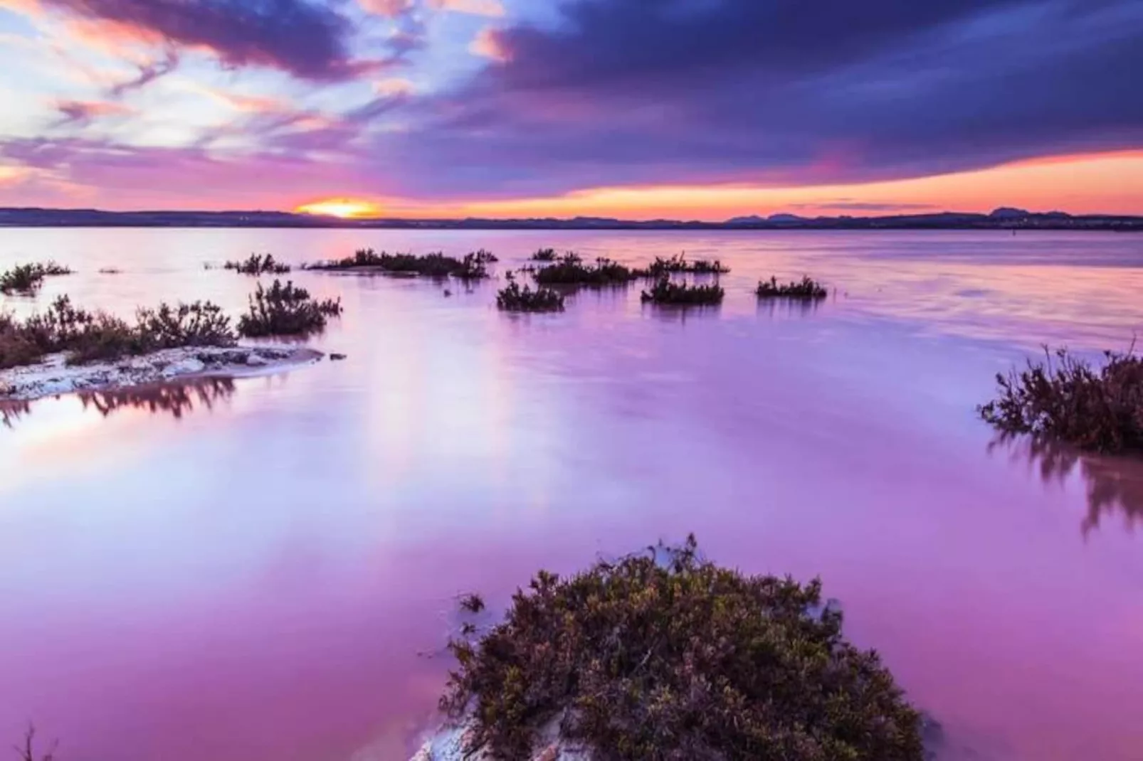 Villa Moderne Avec Piscine Priv&eacute;e Au Golf Vistabella-Non tagué