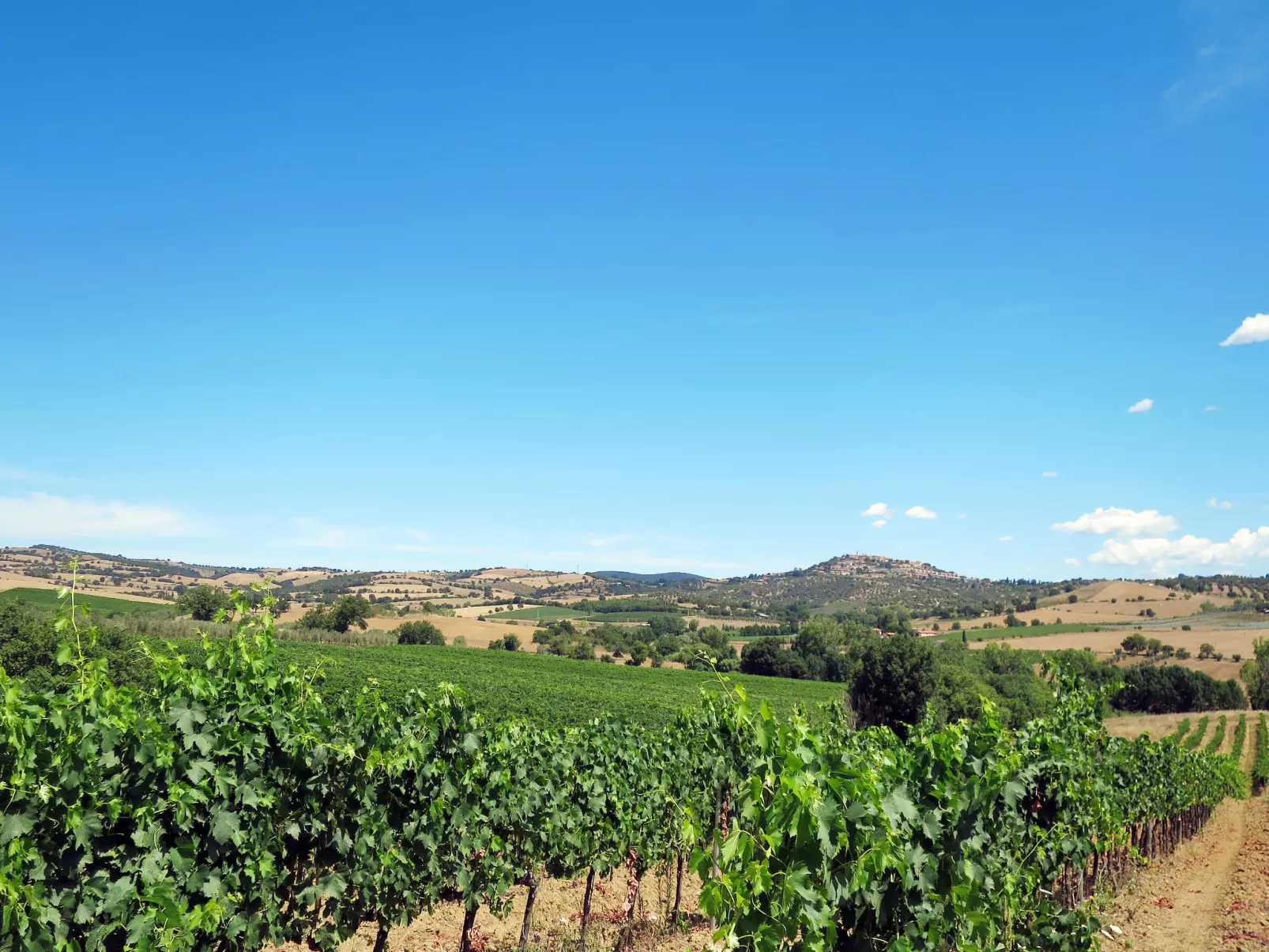 Il Belvedere di Montiano-Umgebung