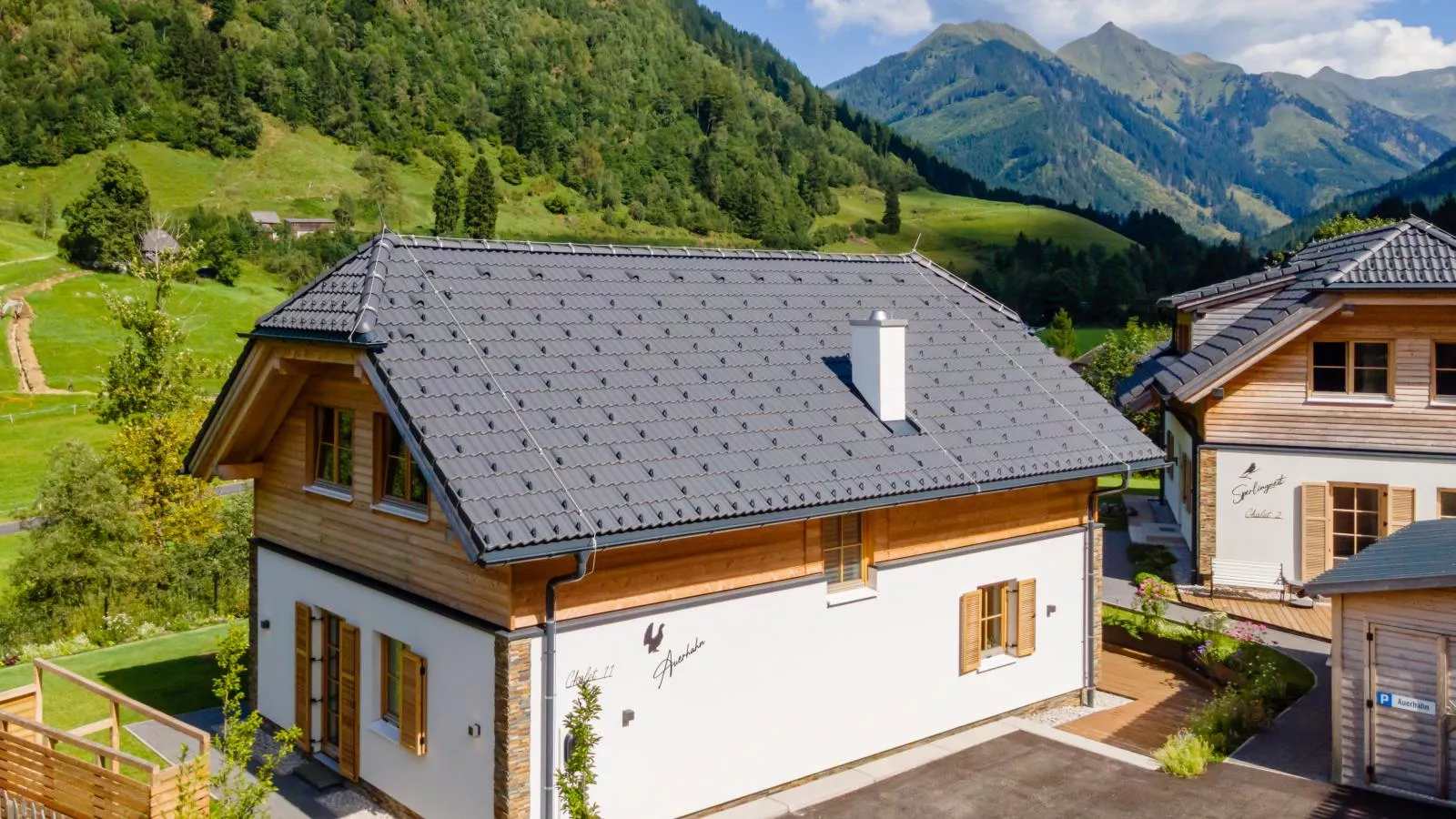 Auerhahn-Extérieur été