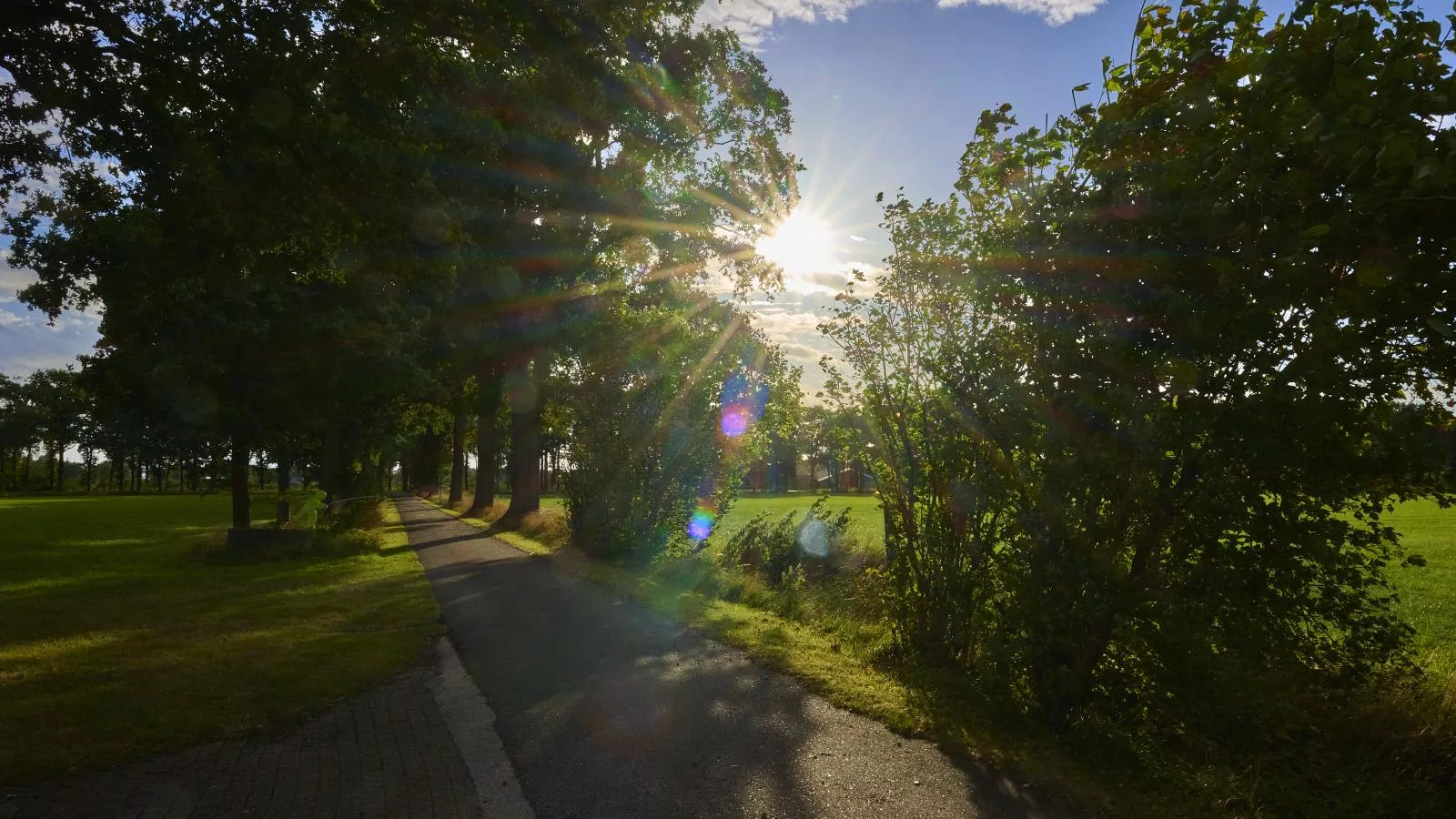 Erve Koeleman-Areas within 5km in summer