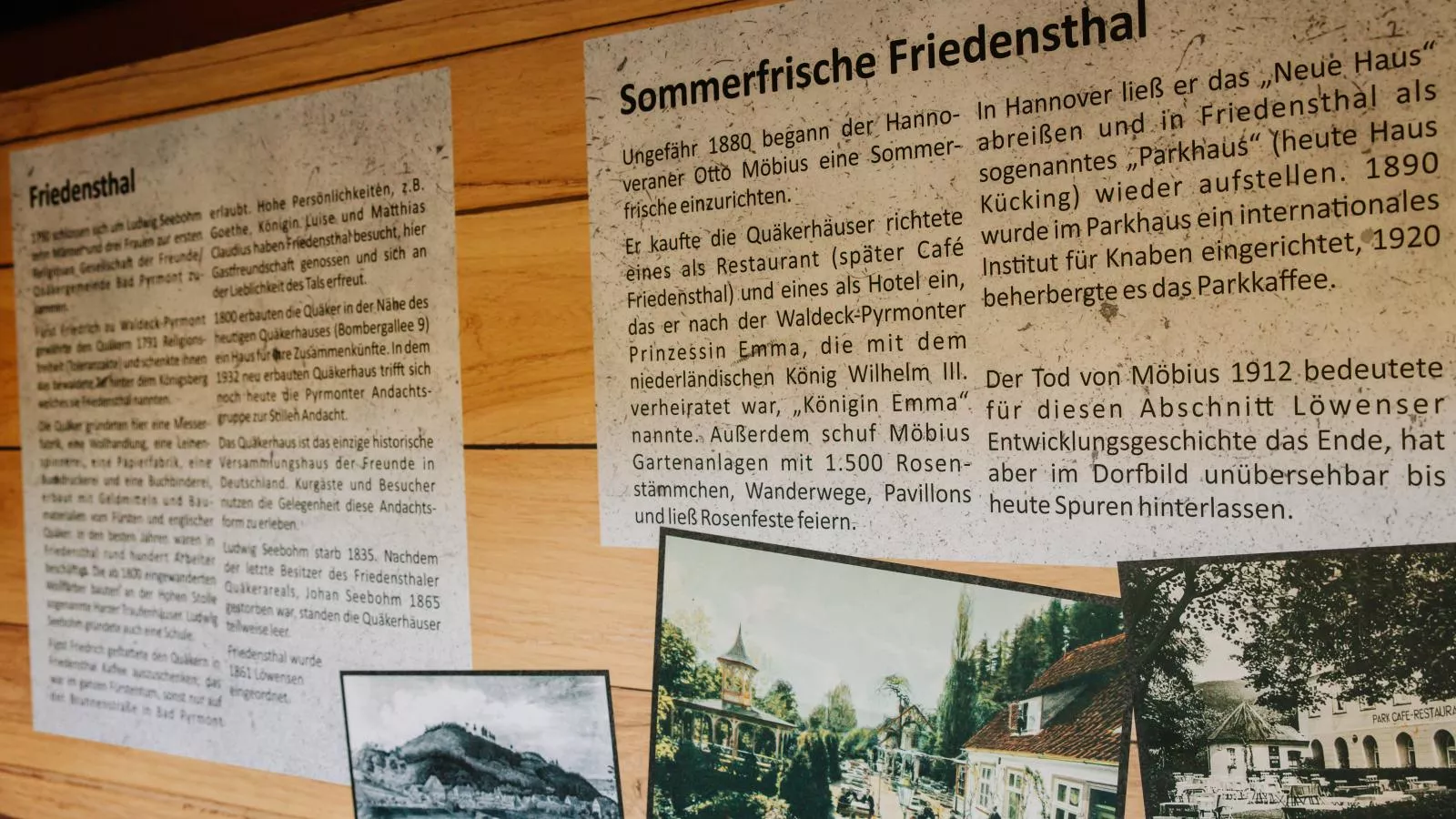 Hubertus III-Zones été à 1 km