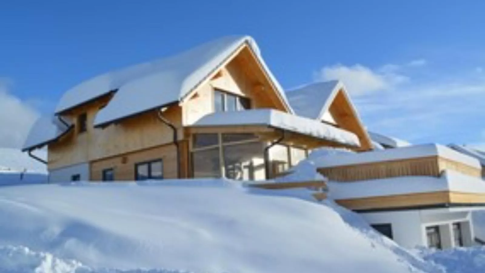 Designchalets Falkertsee-Exterior in winter
