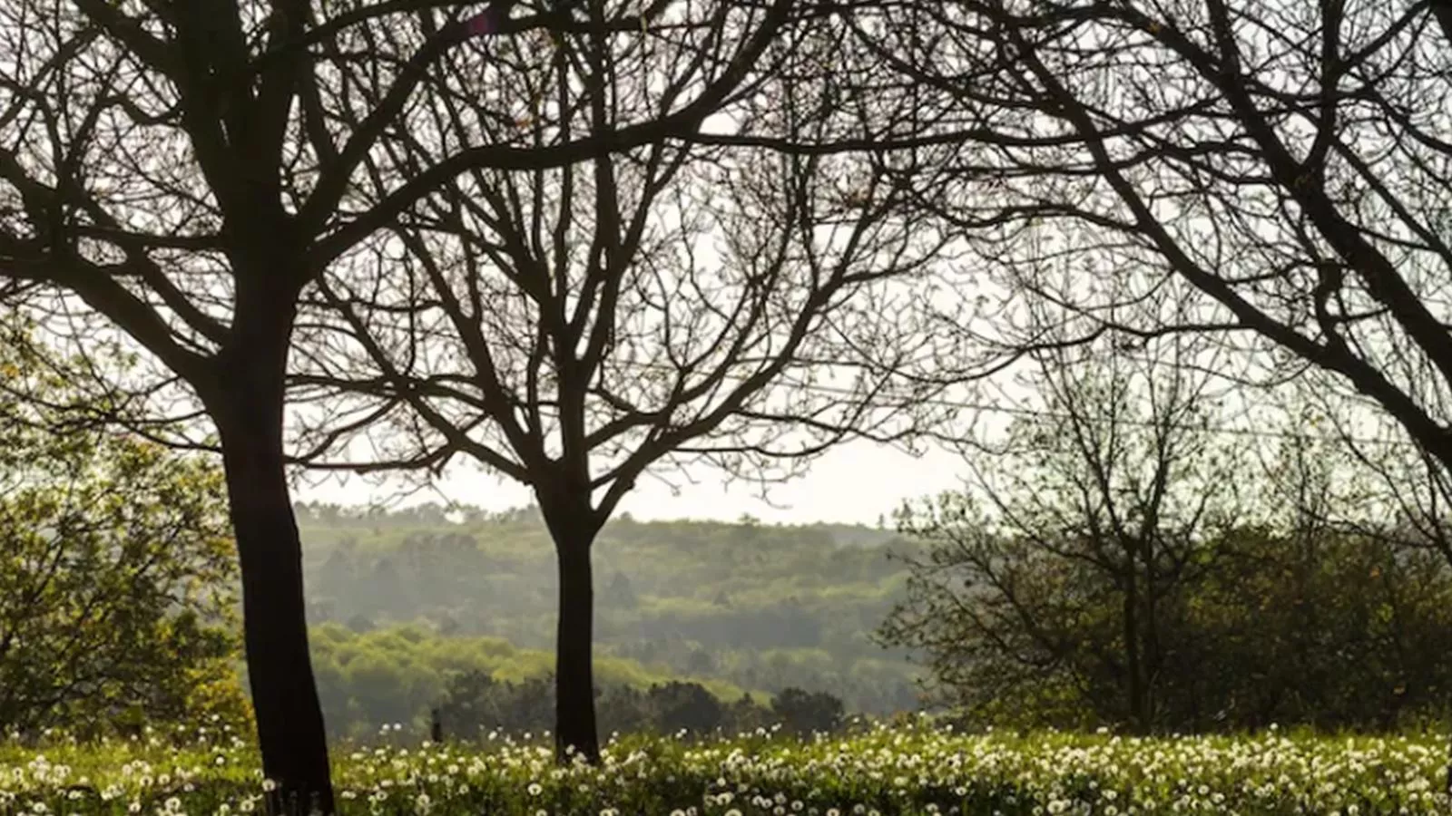 La Roque Haute-Gardens in summer