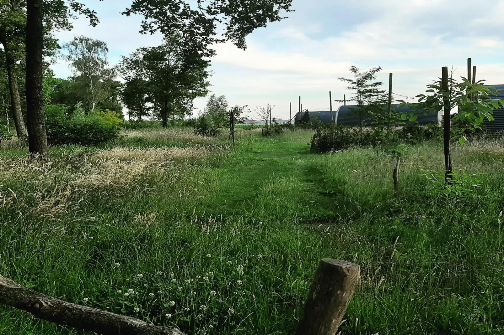 De Ree en de Specht-Areas within 1km in summer