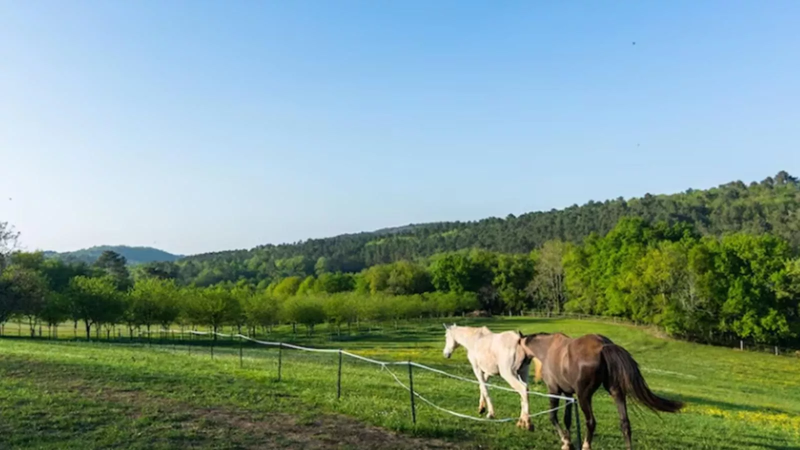 La Roque Haute-View in summer