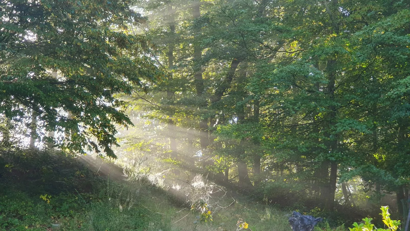 Agathe-Gardens in summer