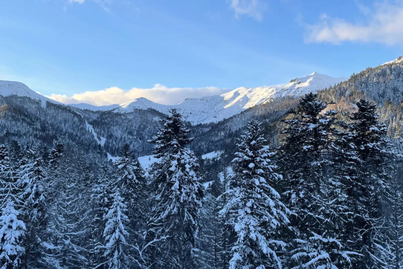 Chalets à Le Lioran-Nicht zugeordnet