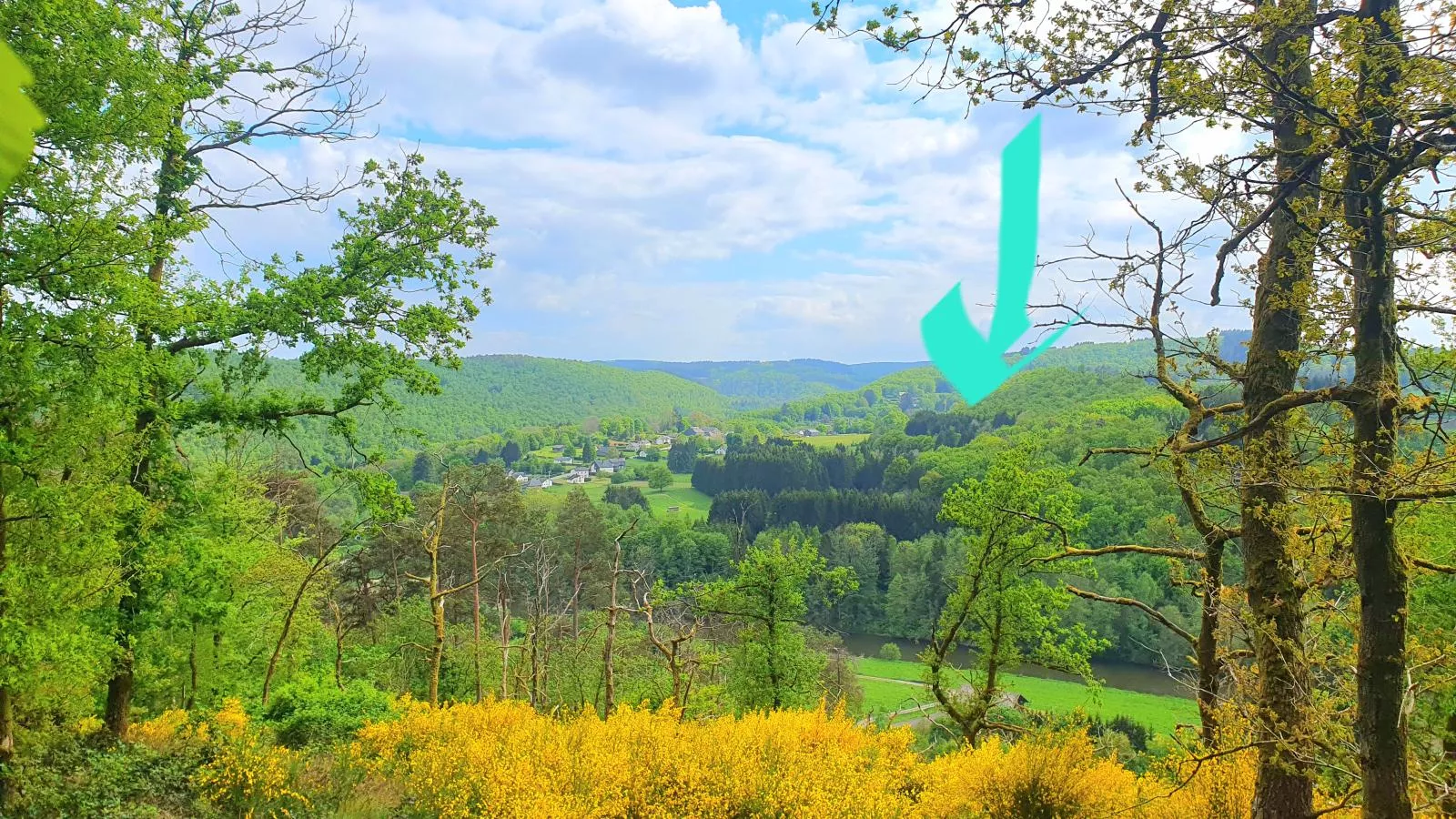 Agathe-View in summer