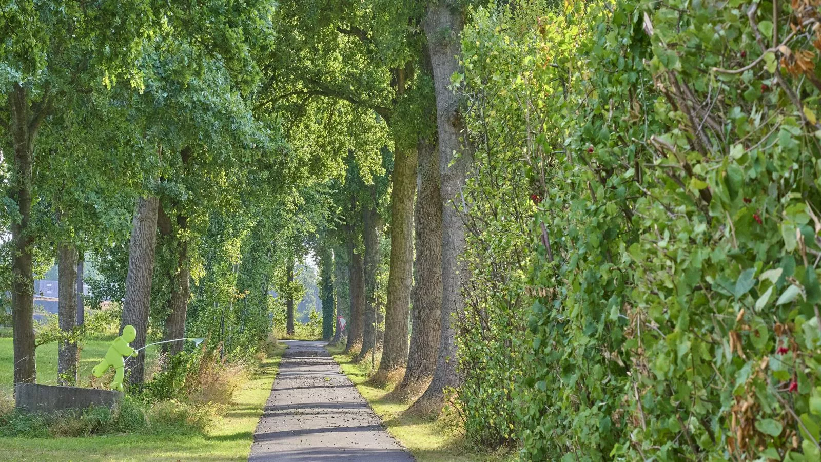 T Achterhoes-Areas within 5km in summer