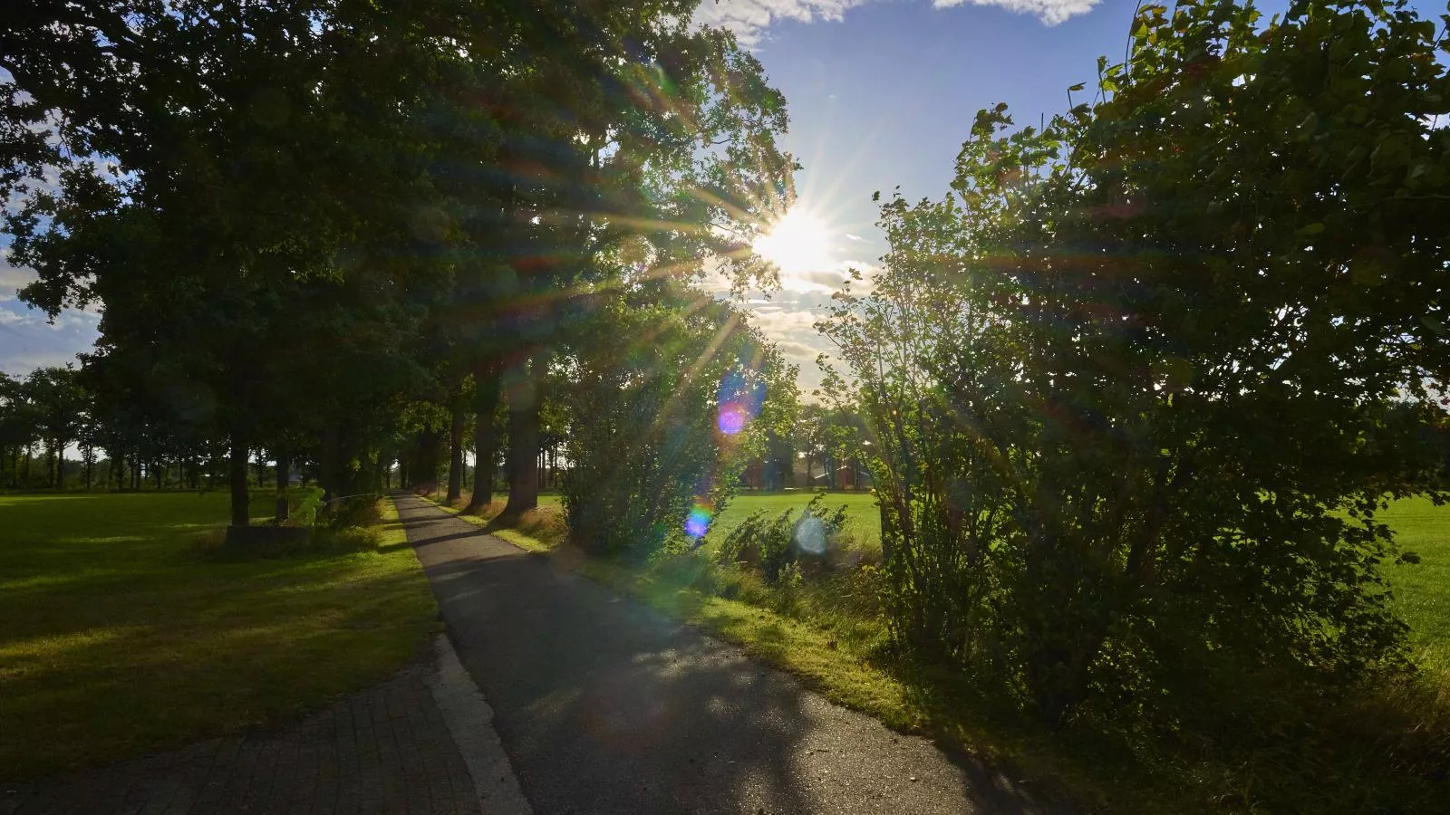 T Achterhoes-Areas within 5km in summer