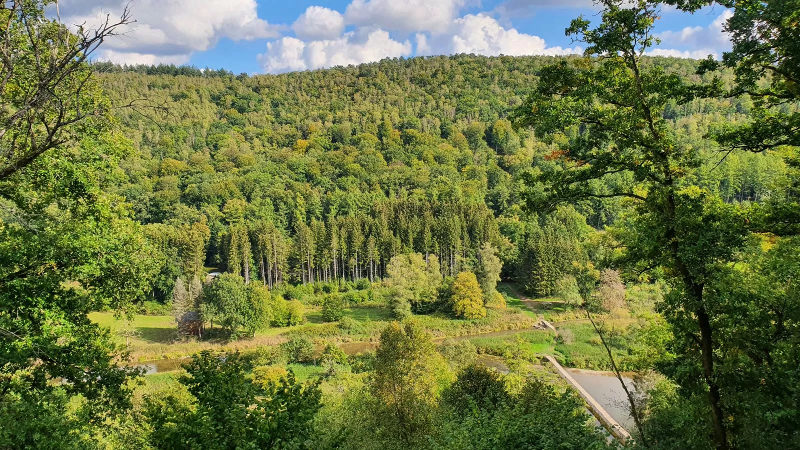 Agathe-Areas within 1km in summer