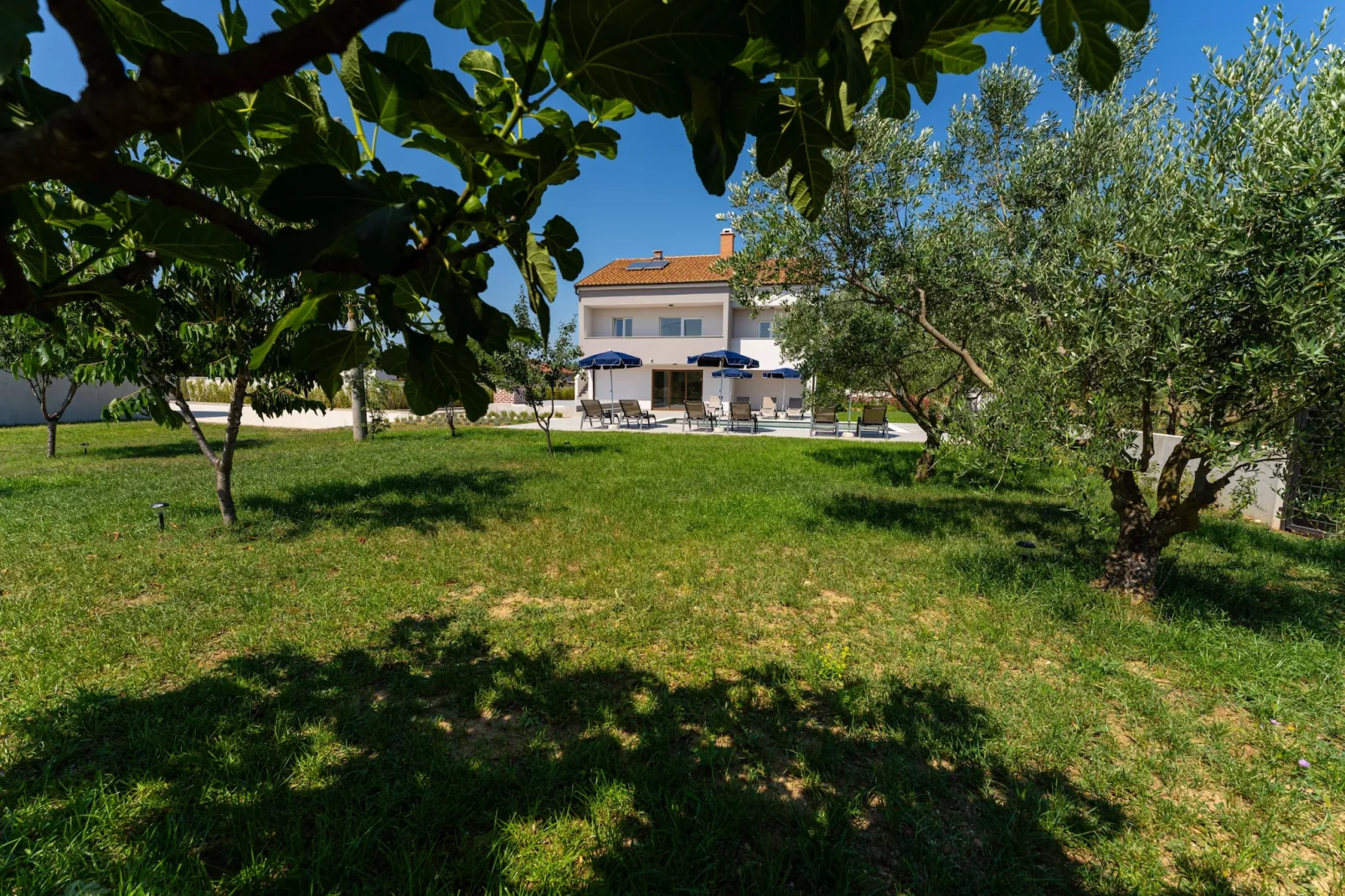 Villa Campi Dalmatia-Jardins en été