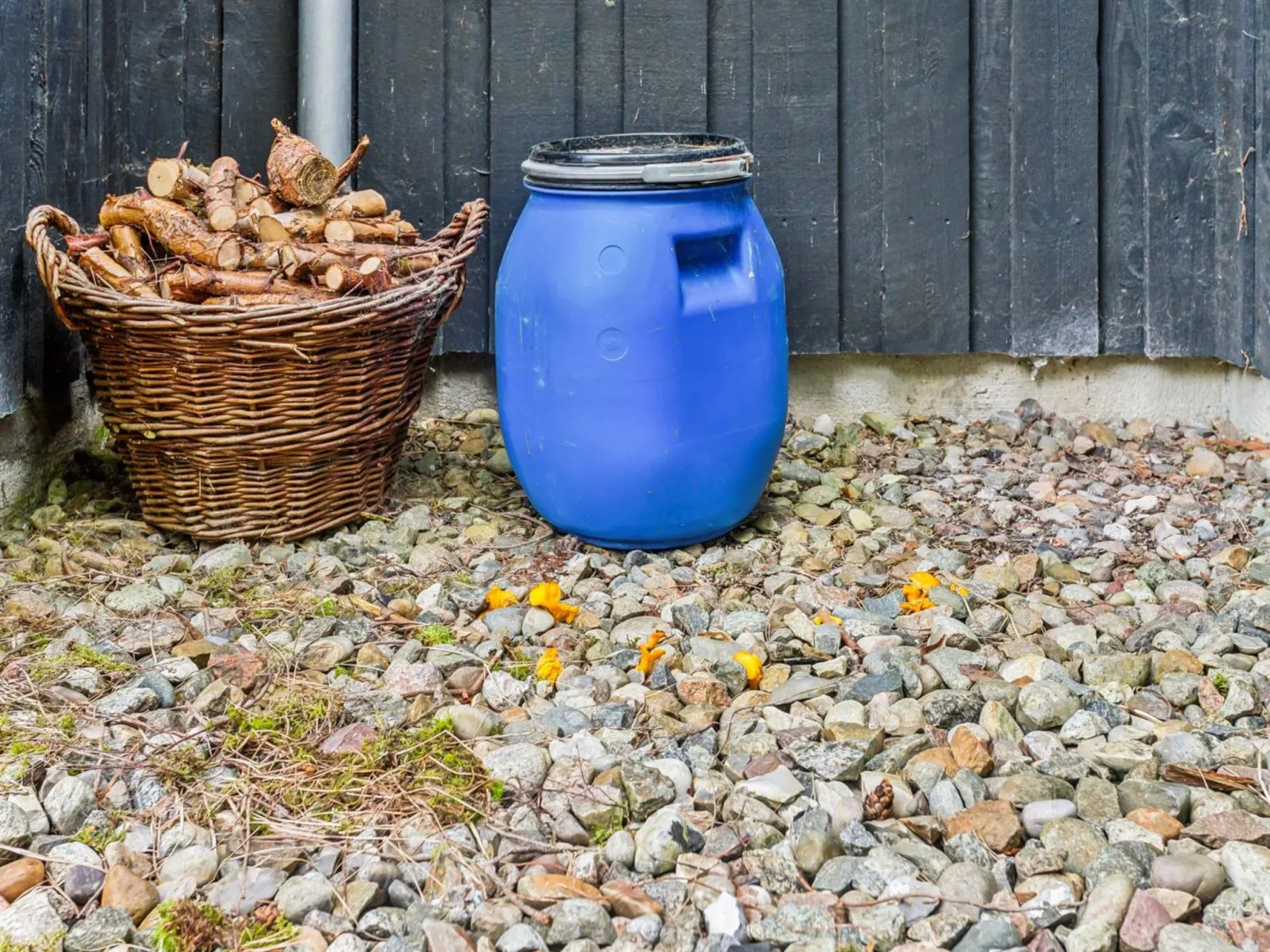 "Siegfried" - 400m from the sea-Inside