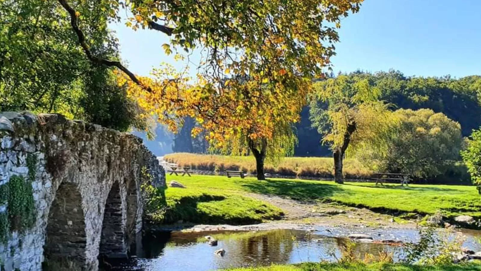 Agathe-Areas within 5km in summer