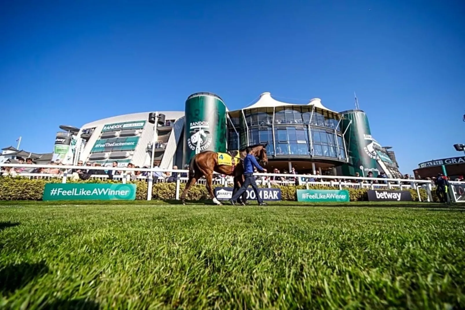 Junior Suite-Facilities