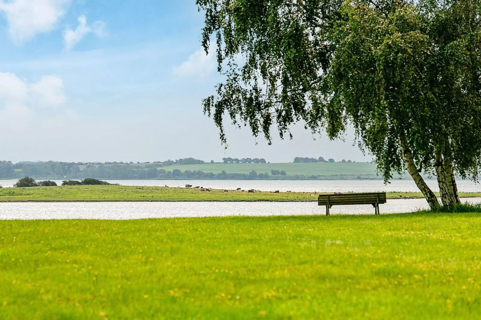 6 person holiday home in Haarby-By Traum-View
