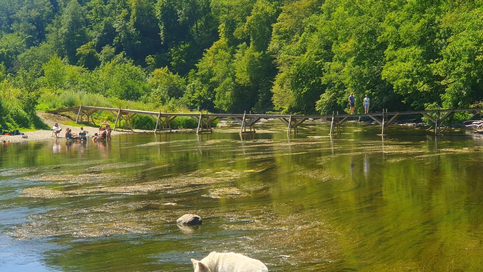 Agathe-Areas within 5km in summer