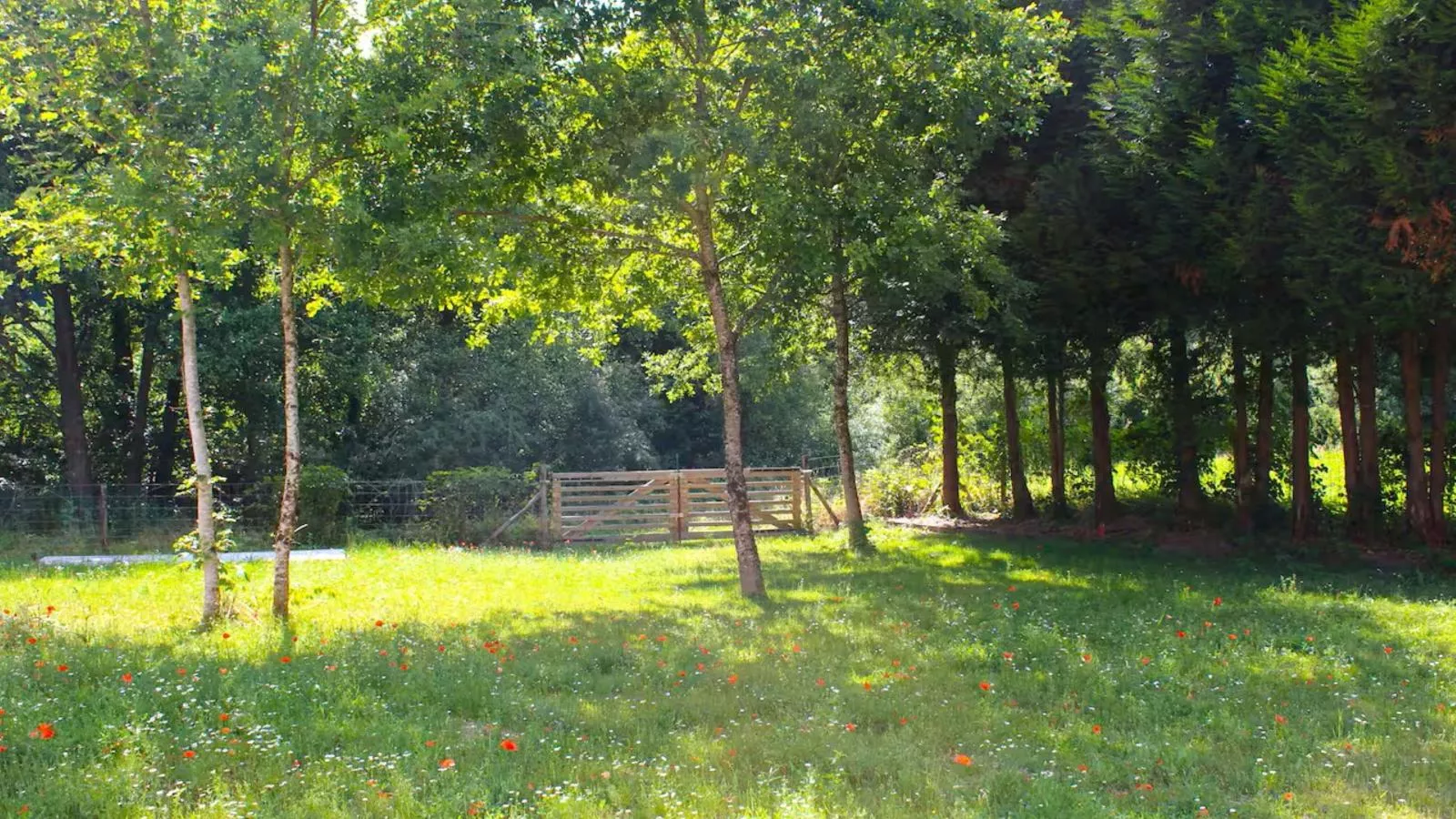 Le Moulin de Lachalade-Garten Sommer