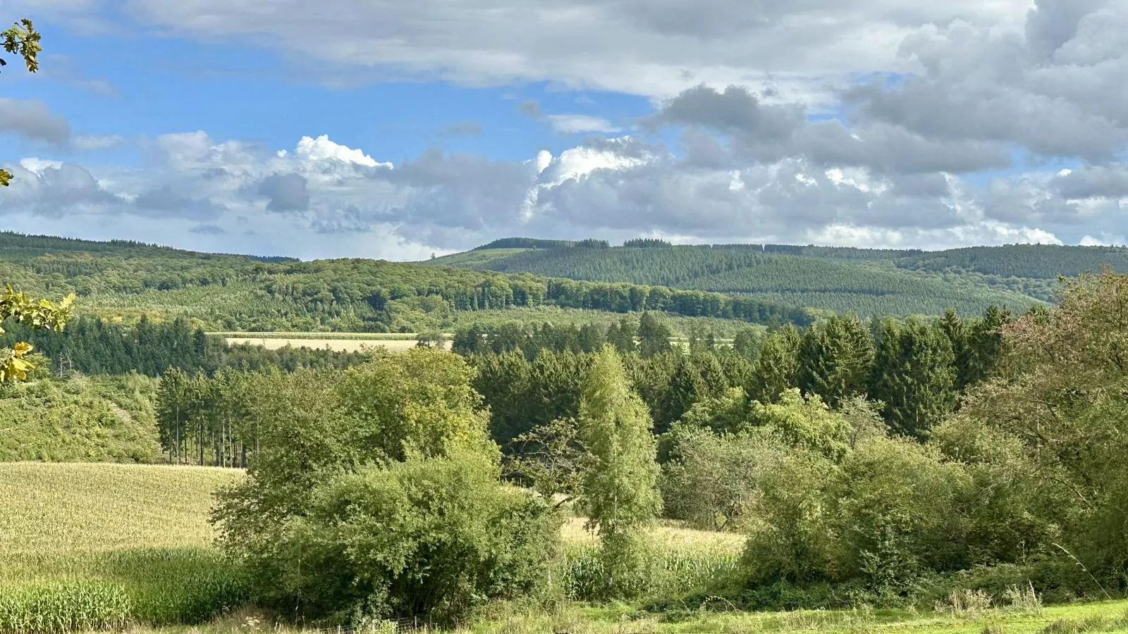 Boogie House-Areas within 1km in summer