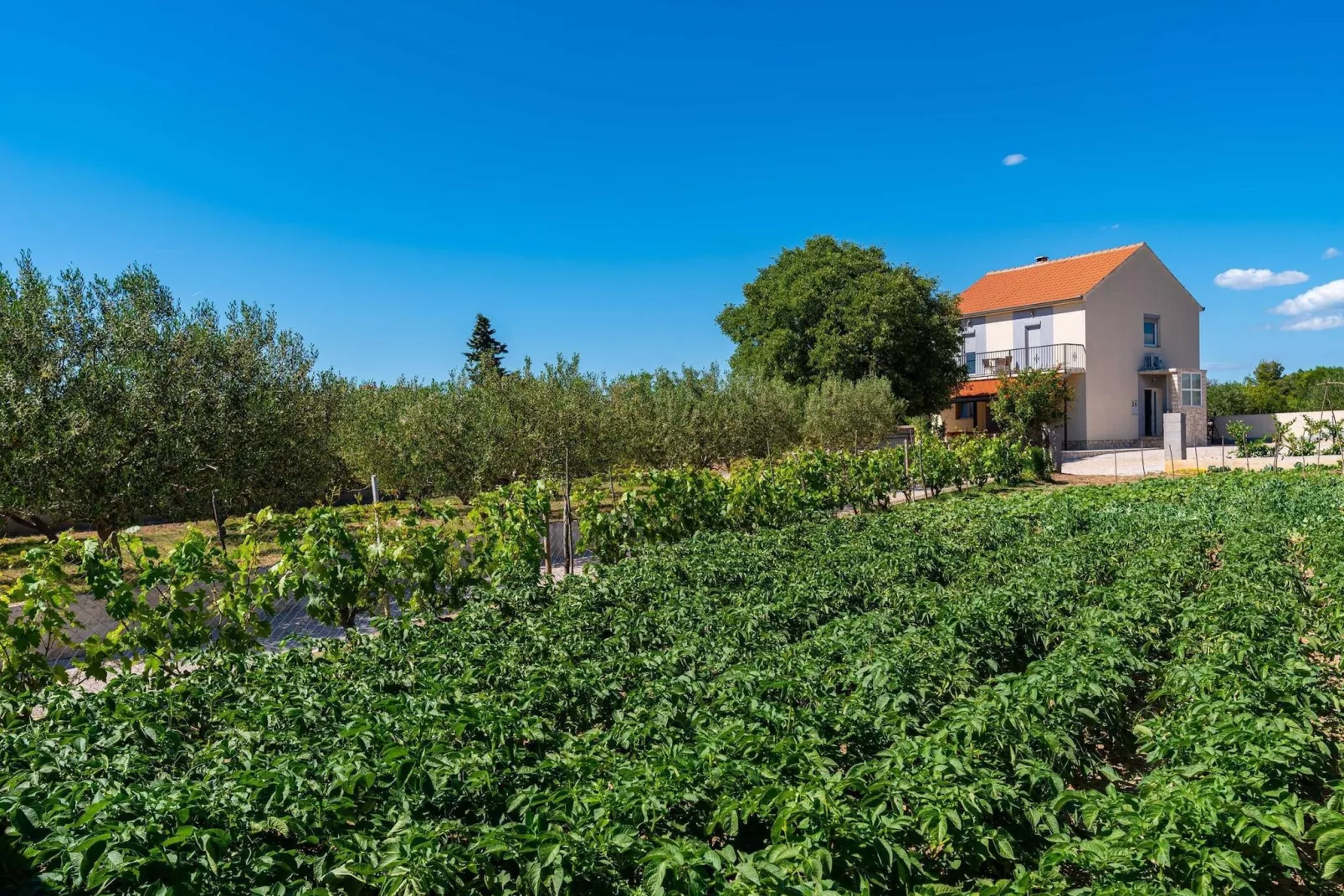 Holiday home Maria-Garten Sommer