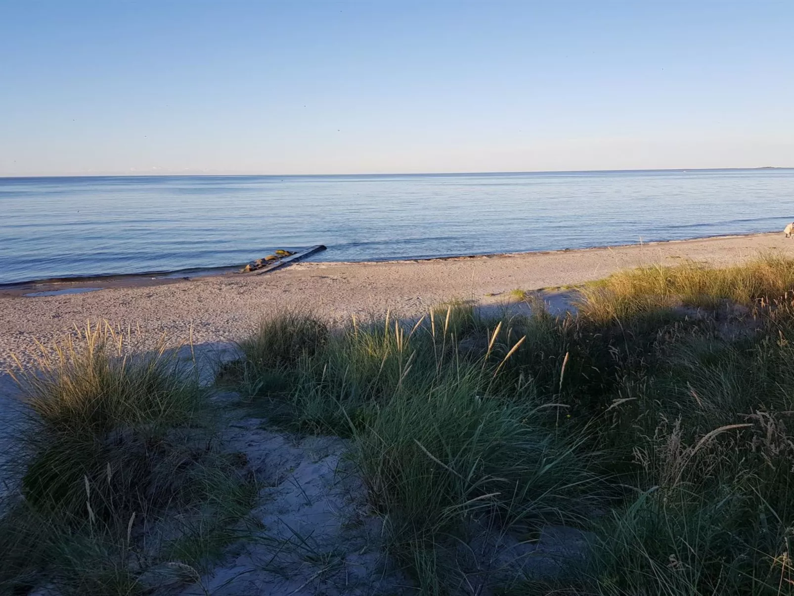 "Grep" - 800m from the sea-Draußen