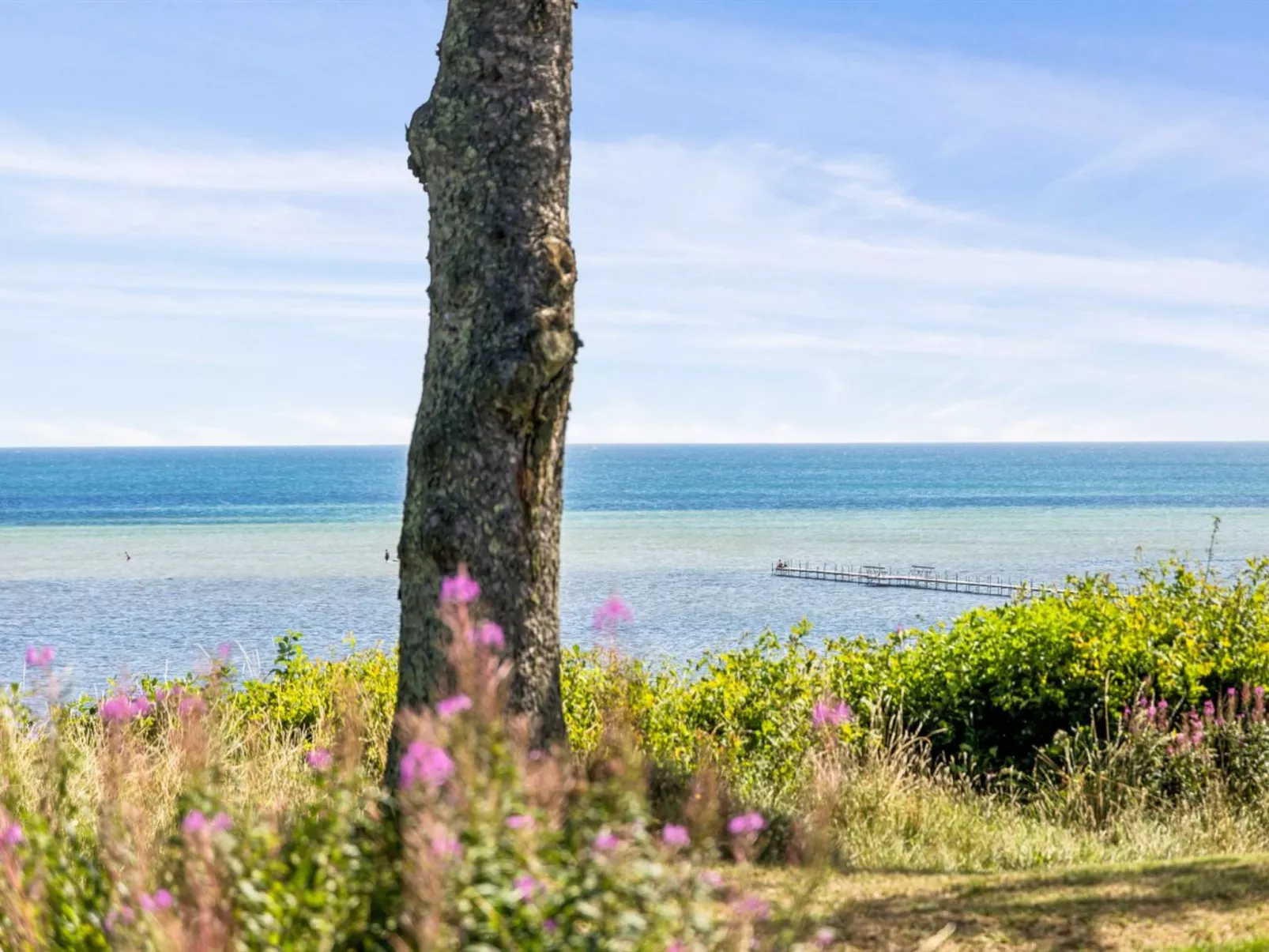 "Wrage" -  from the sea-Outside