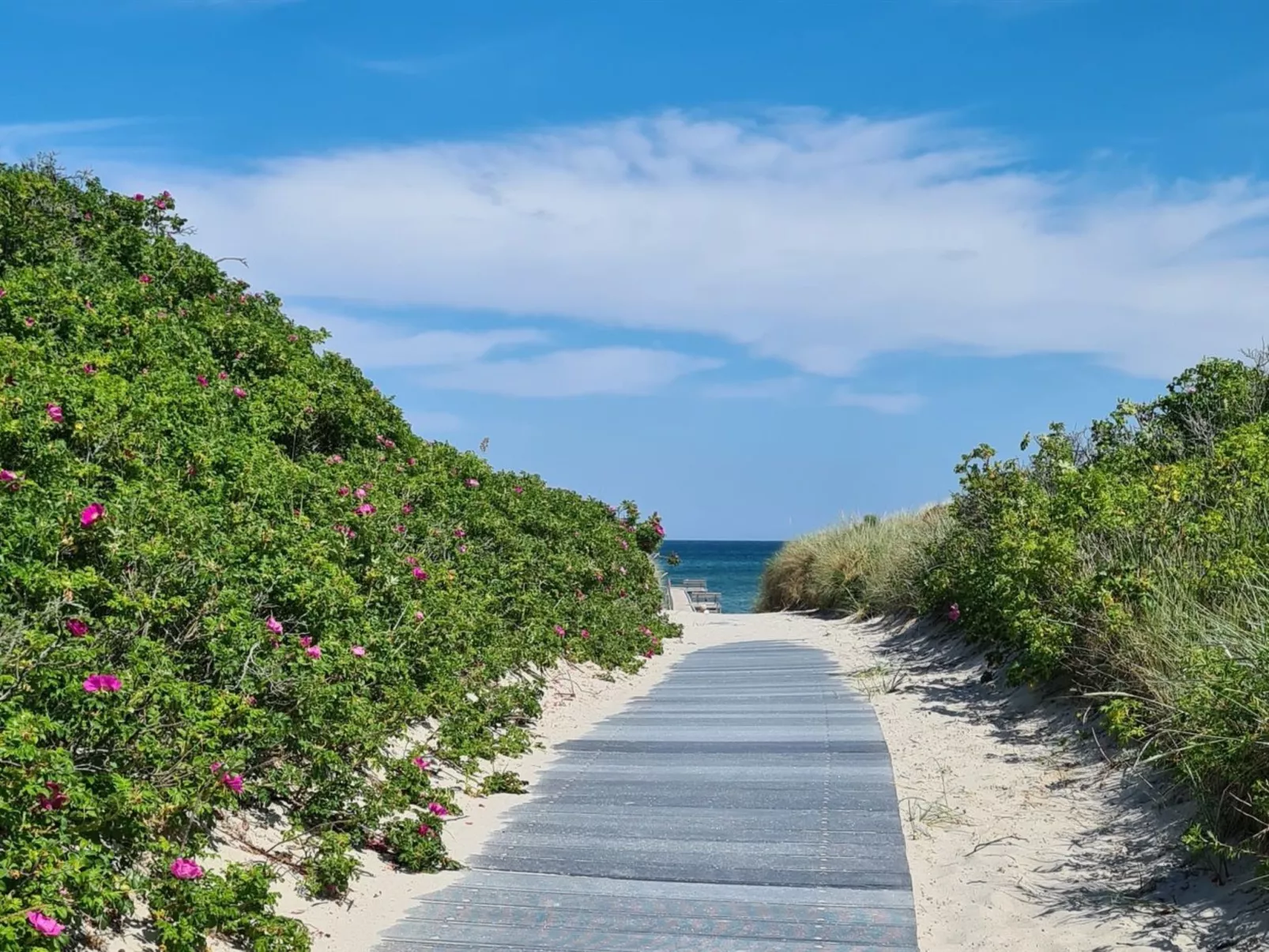 "Grep" - 800m from the sea-Draußen