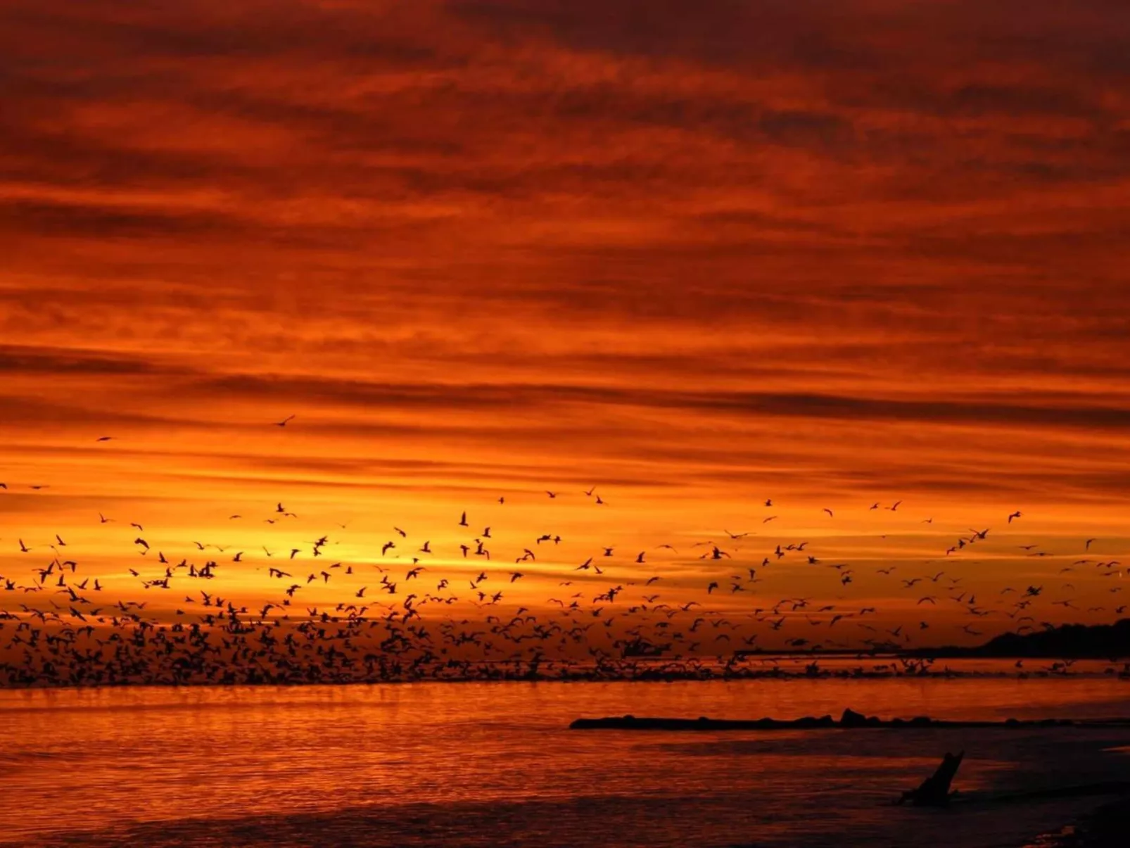 "Grep" - 800m from the sea-Draußen