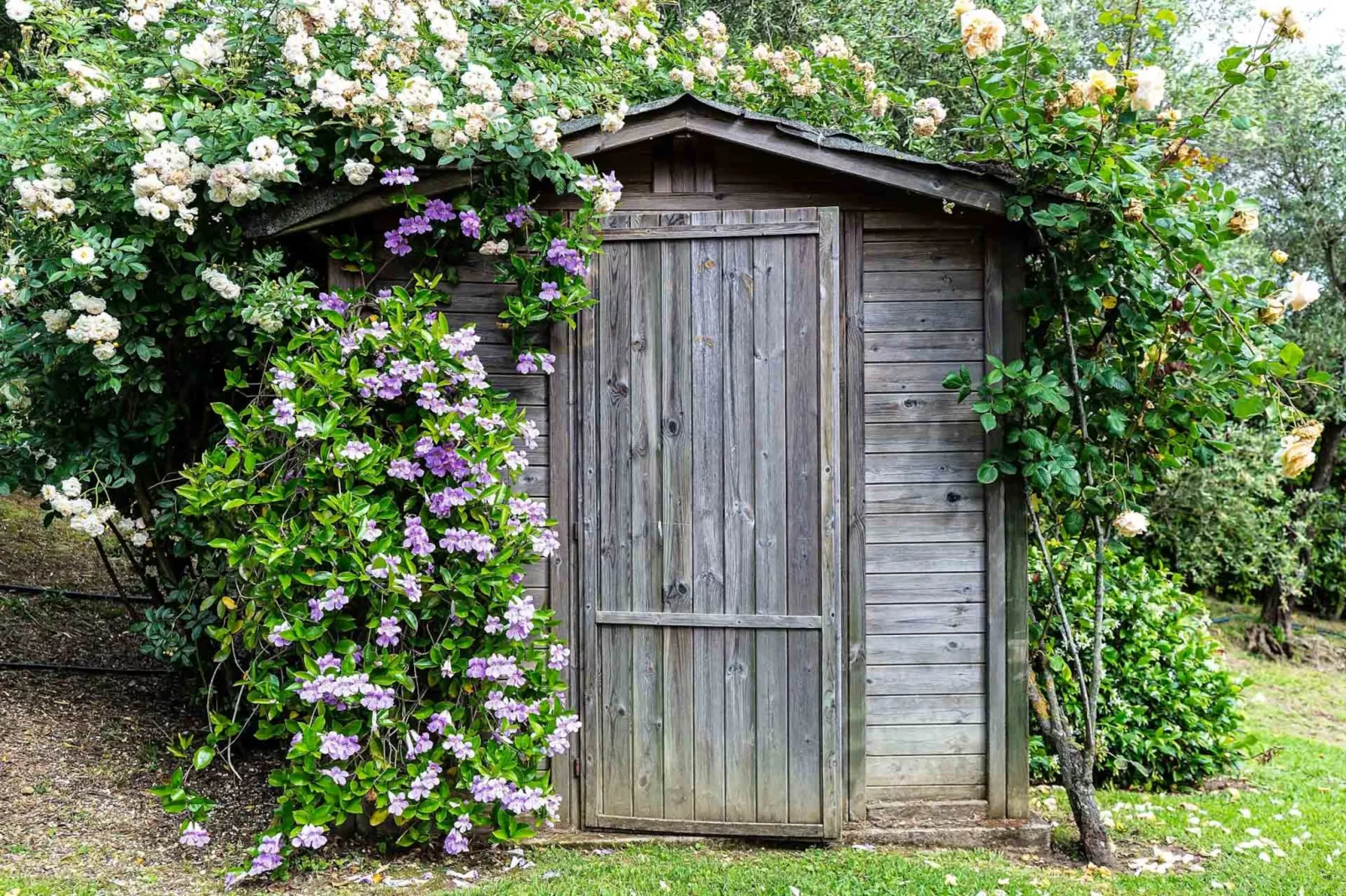 Villa Il Palagio-Terrace balcony