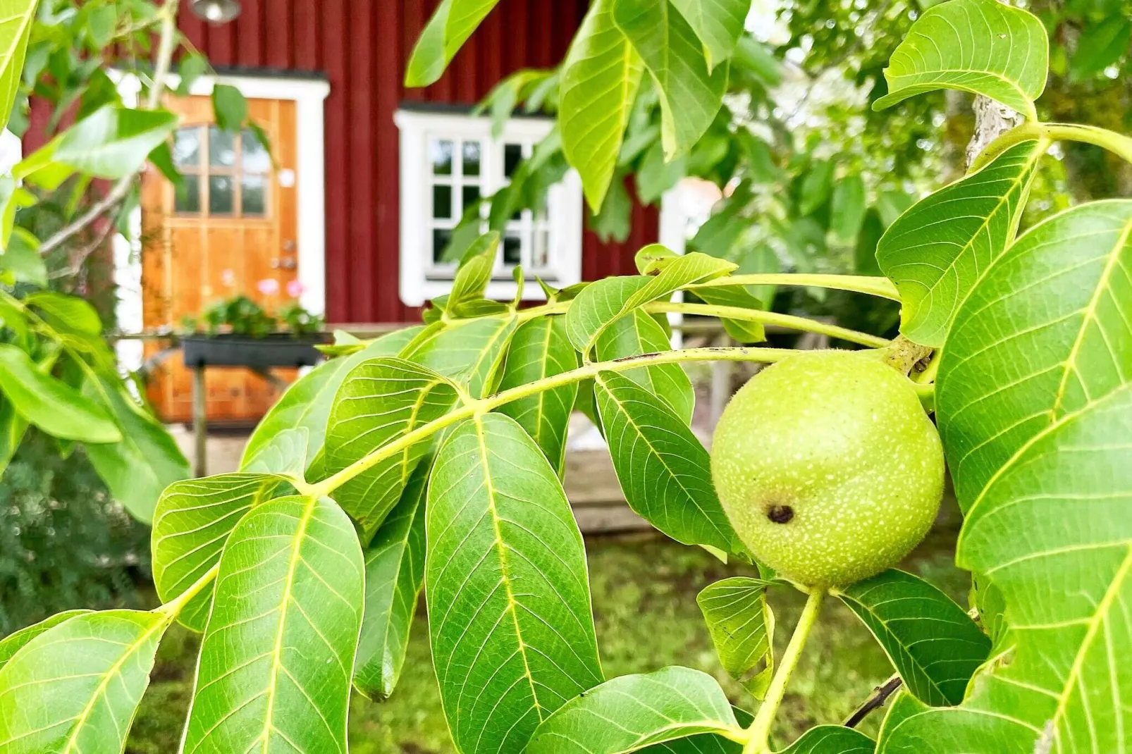 5 person holiday home in BORGHOLM-Not tagged