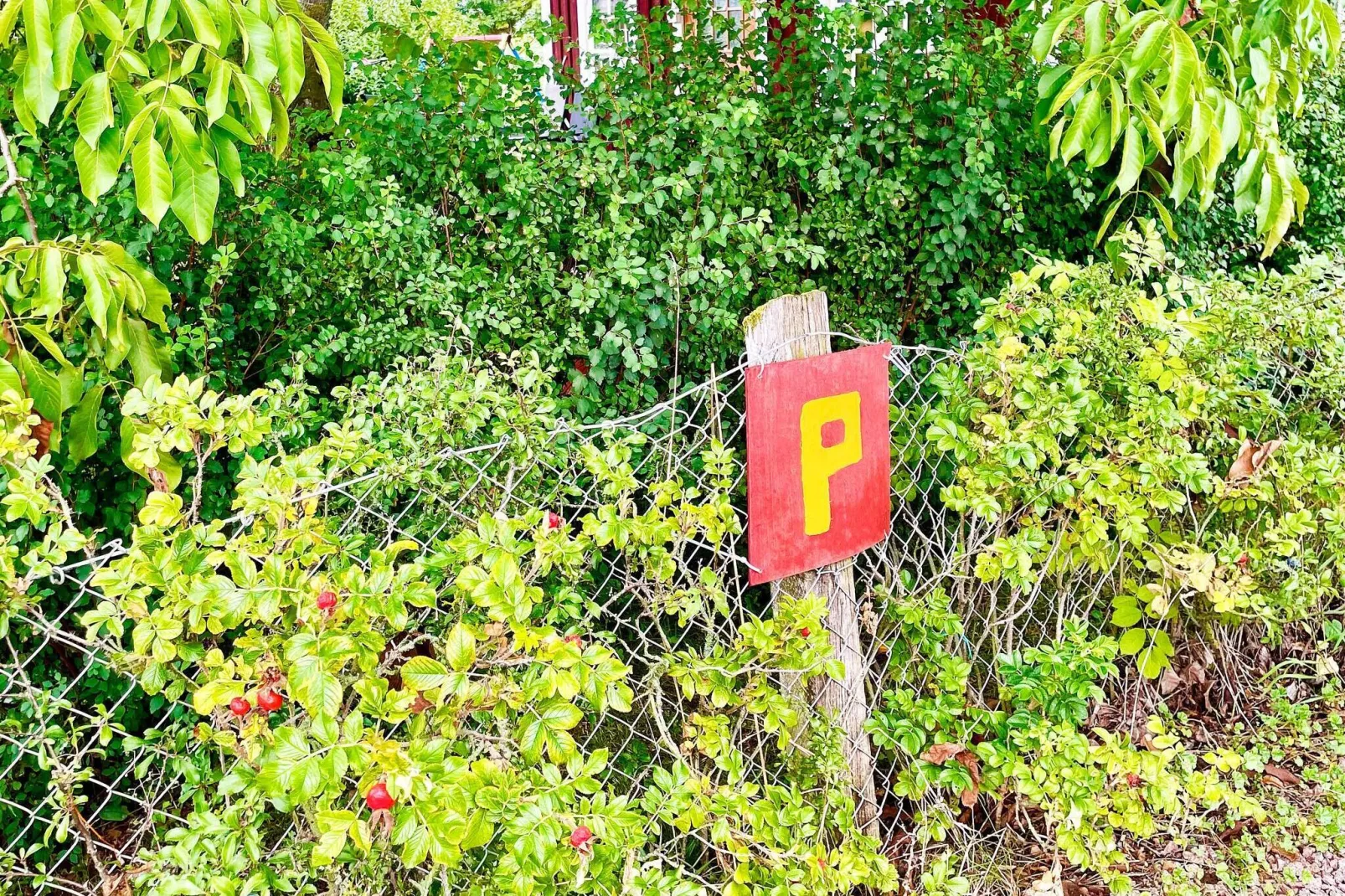 5 person holiday home in BORGHOLM-Not tagged