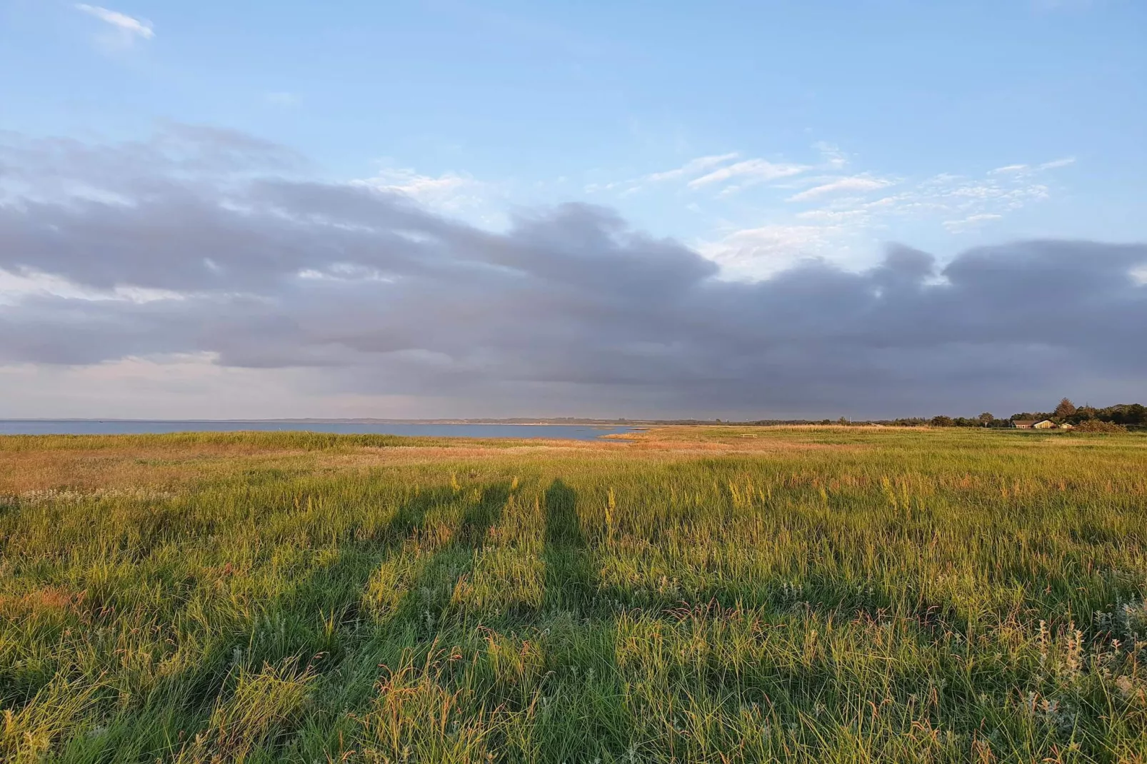 14 person holiday home in Ørsted-By Traum